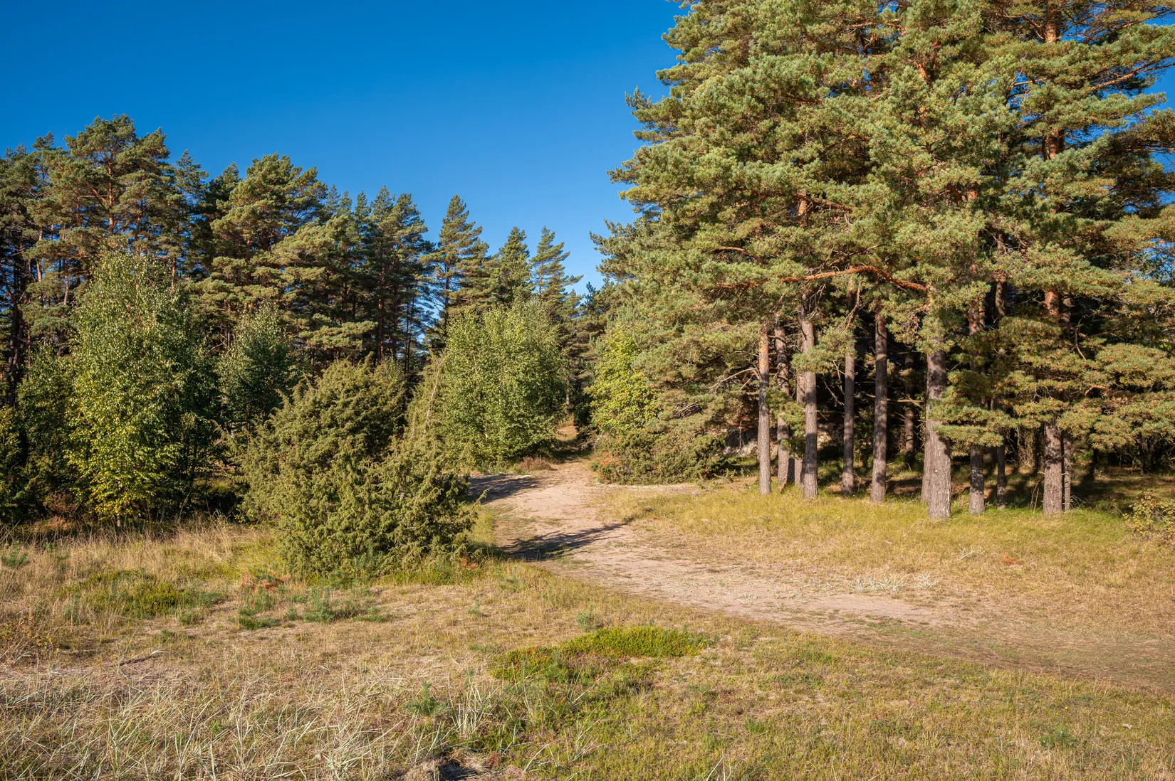 Fritidshus, Karholmsvägen 43A, Rossö, Strömstad