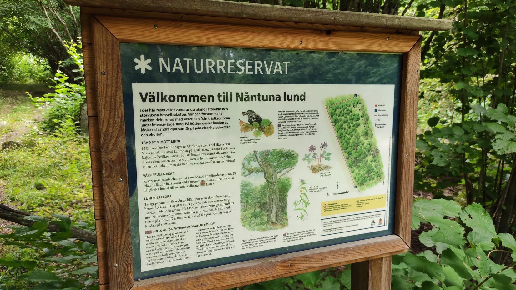 Radhus, Brodyrvägen 3, Nåntuna, Uppsala