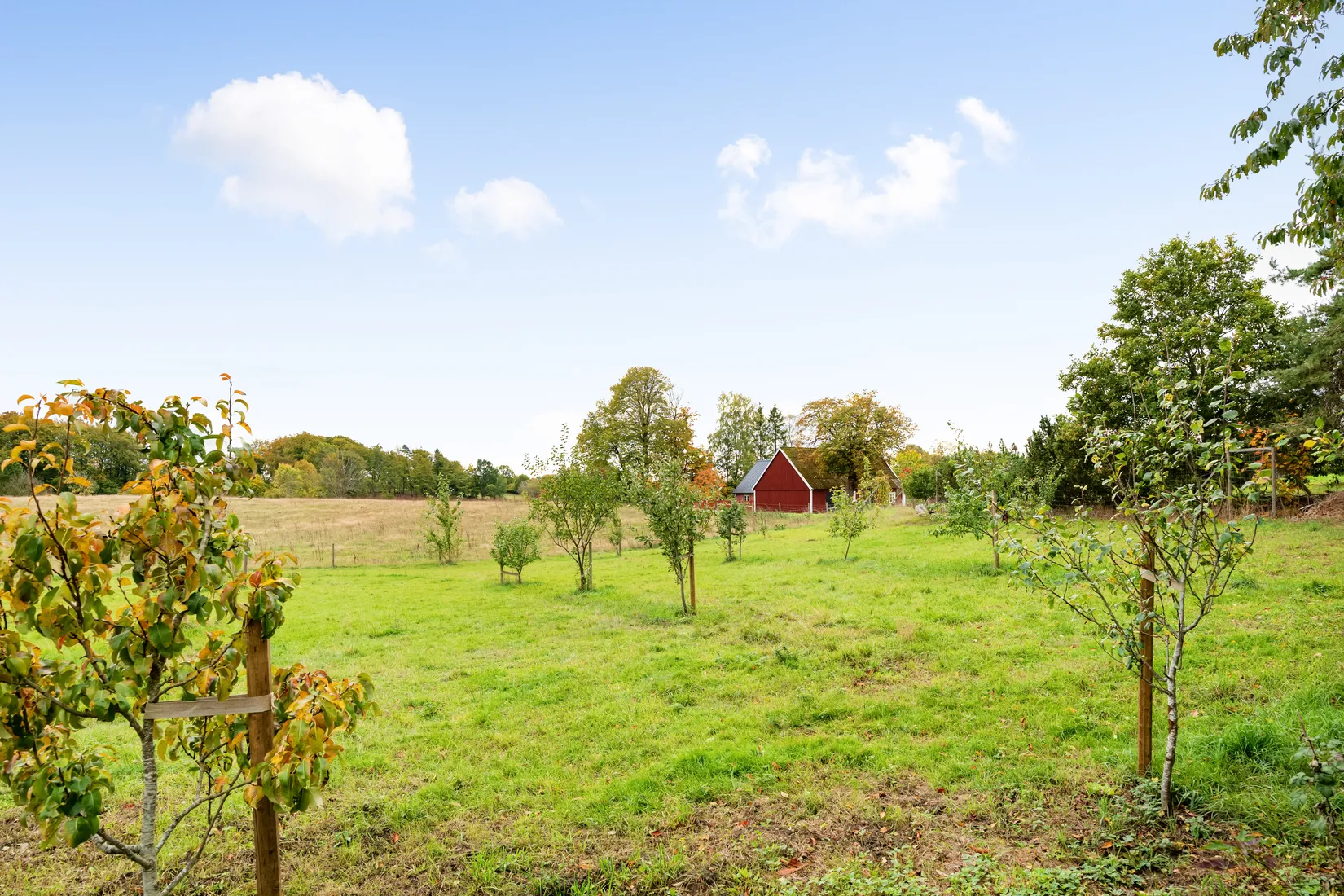 Gård/Skog, Lerbergstorpsvägen 32, Tåghusa, Simrishamn