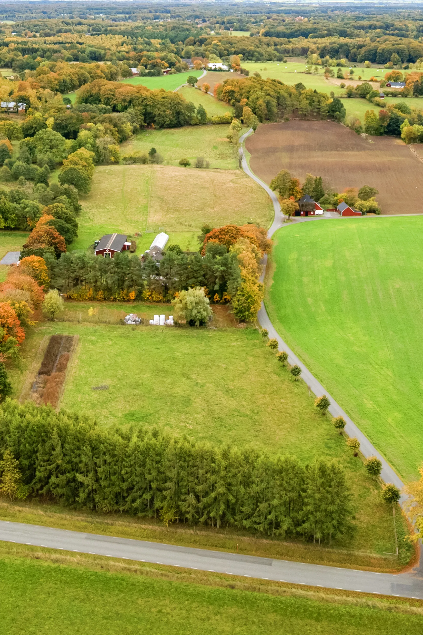 Gård/Skog, Lerbergstorpsvägen 32, Tåghusa, Simrishamn