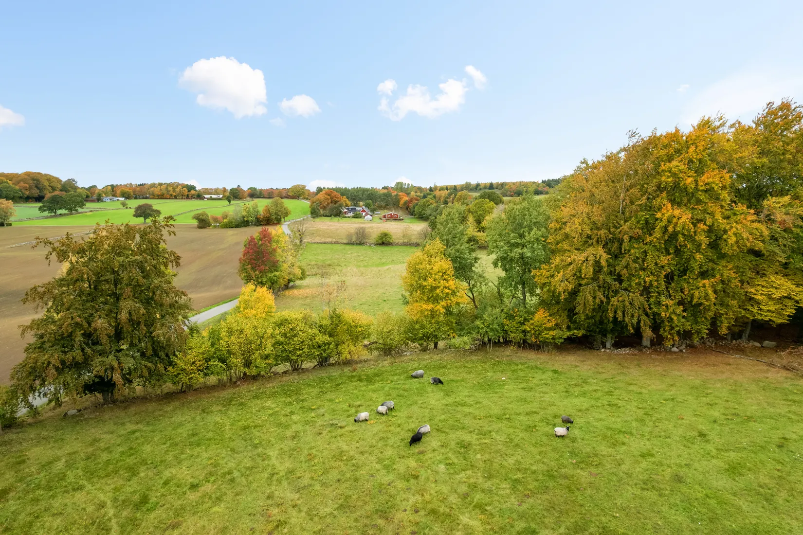 Gård/Skog, Lerbergstorpsvägen 32, Tåghusa, Simrishamn