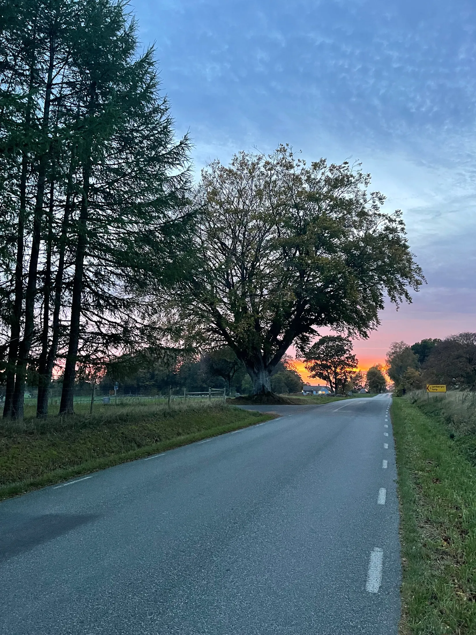 Gård/Skog, Lerbergstorpsvägen 32, Tåghusa, Simrishamn