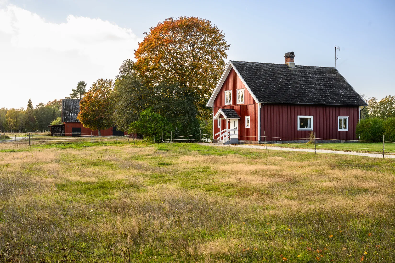 Gård/Skog, Stenslanda Norregård 1, Stenslanda, Växjö