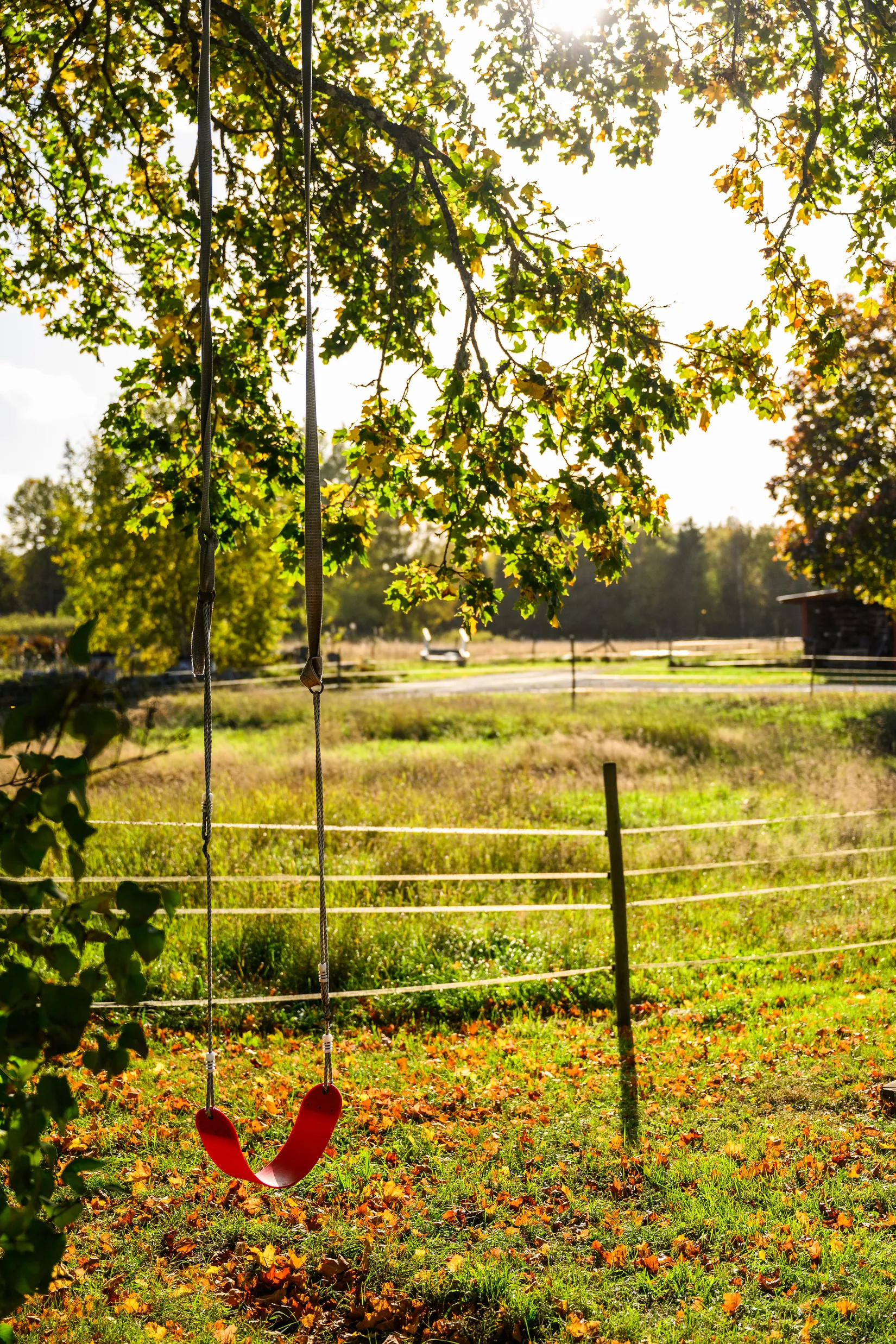 Gård/Skog, Stenslanda Norregård 1, Stenslanda, Växjö