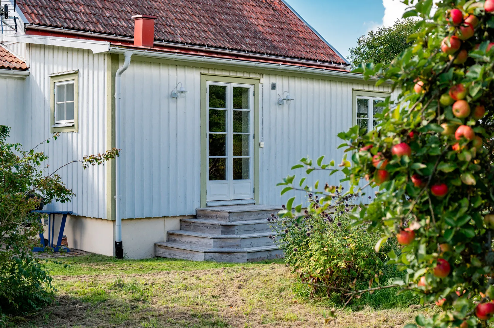 Gård/Skog, Tranum Storegården 1, Varnhem, Skara