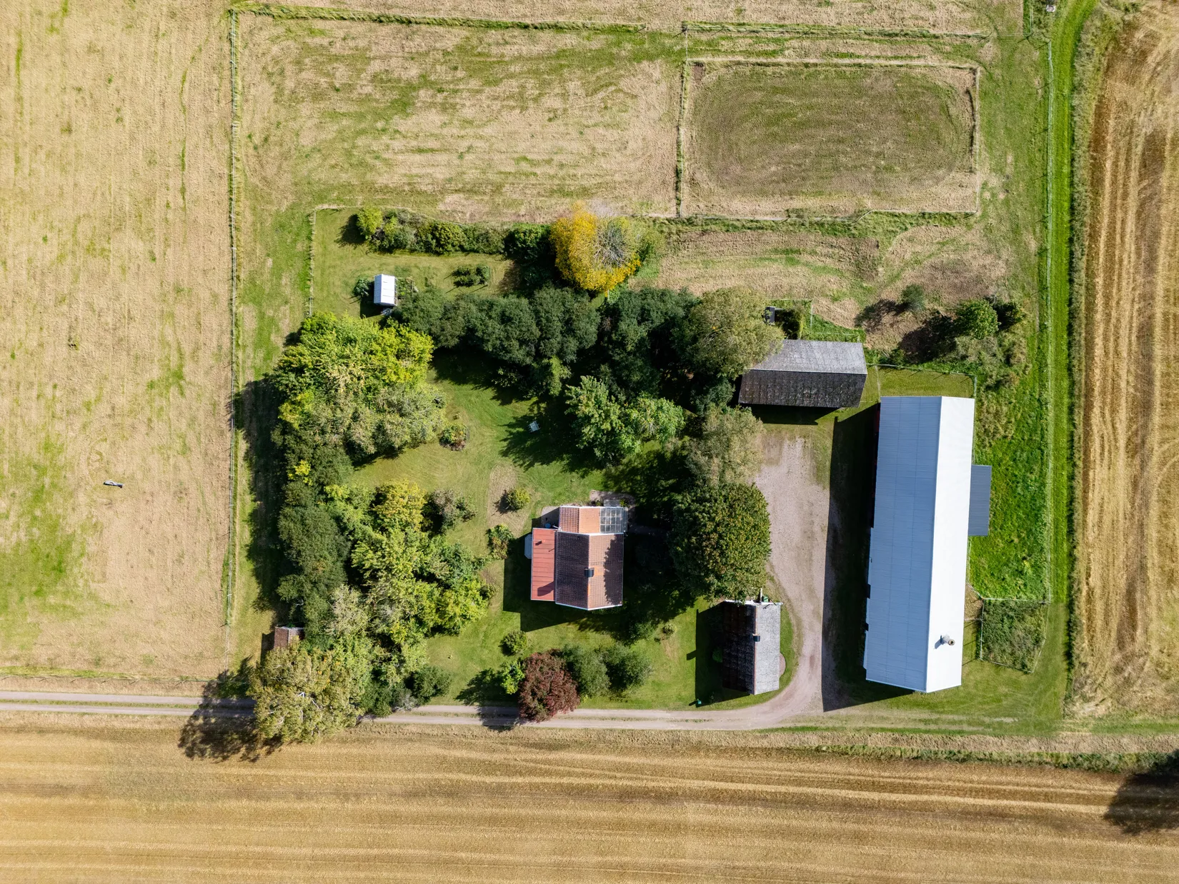 Gård/Skog, Tranum Storegården 1, Varnhem, Skara