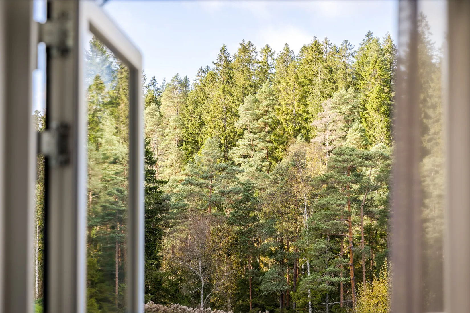 Bostadsrätt, Kulbanan 11, Dammsvedjan, Borås