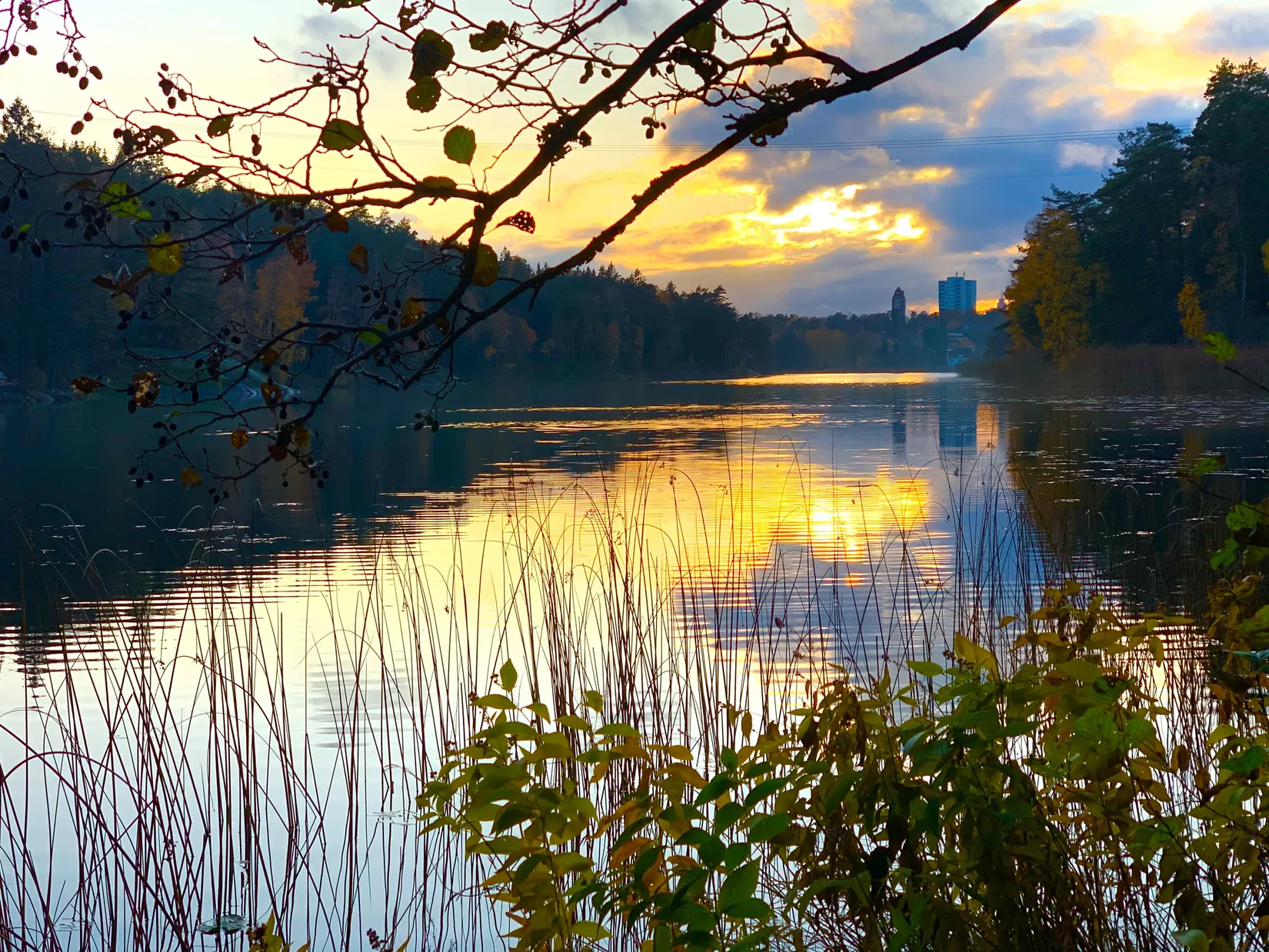Bostadsrätt, Pyrolavägen 24, Skärsätra, Lidingö