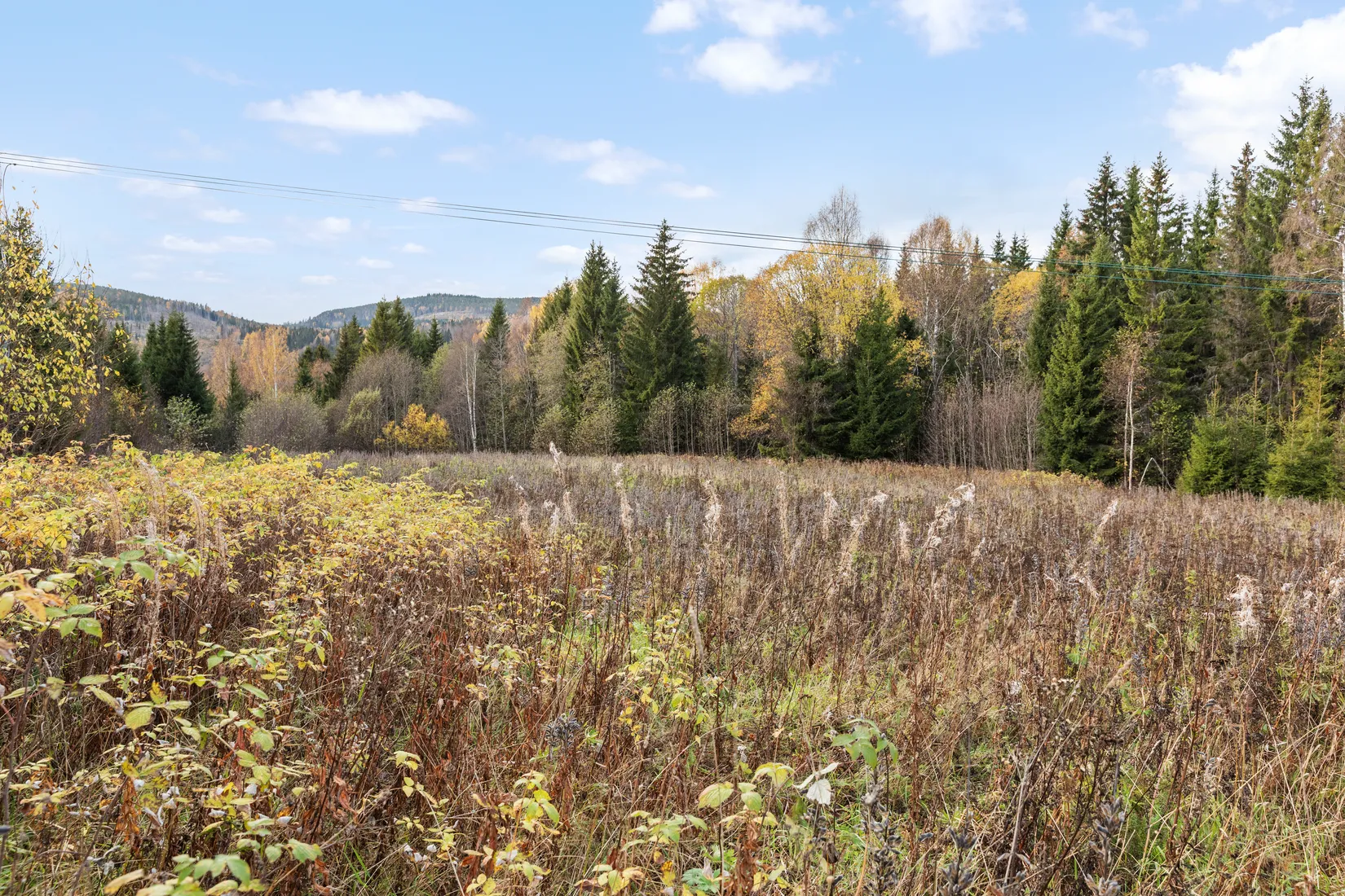 Gård/Skog, Mjällå 522, Ljustorp, Timrå