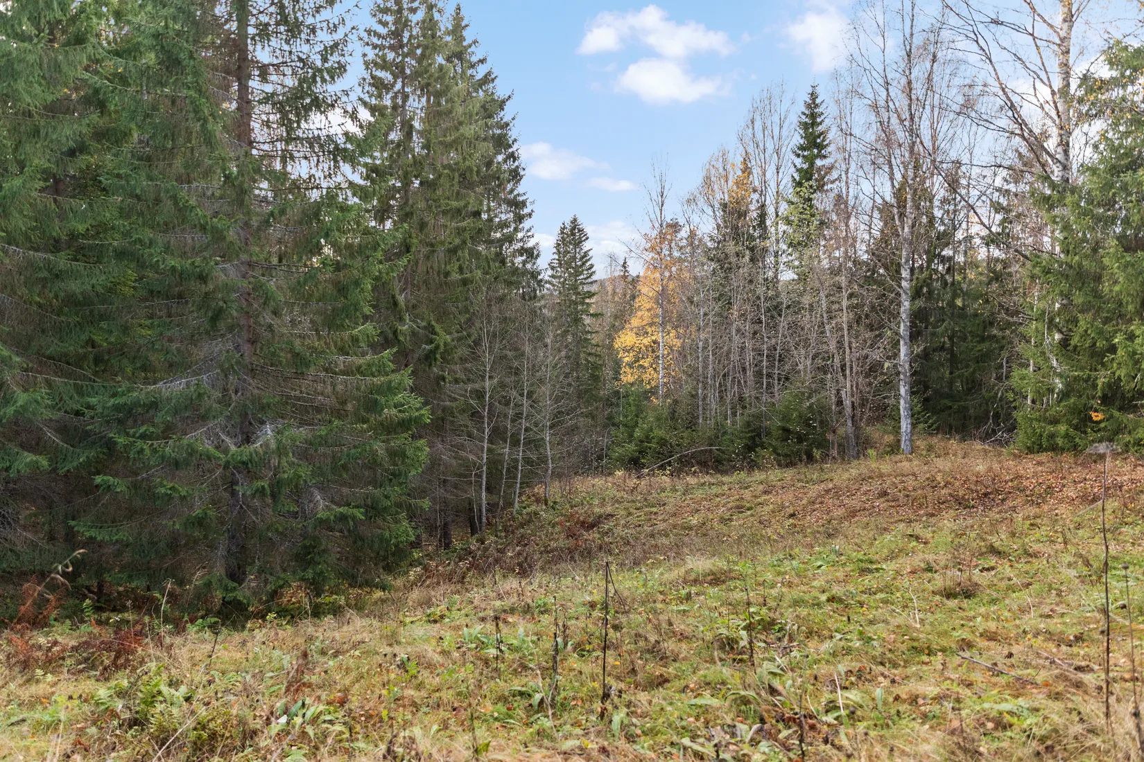 Gård/Skog, Mjällå 522, Ljustorp, Timrå