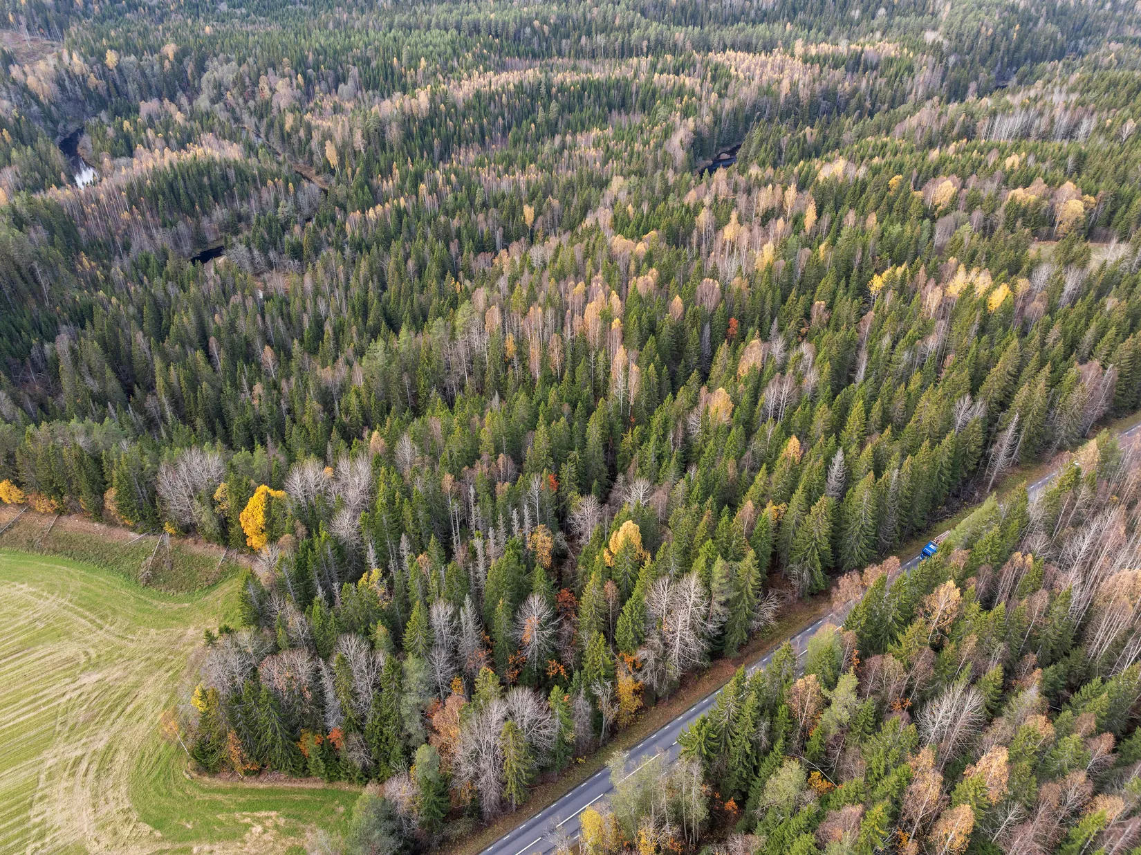 Gård/Skog, Mjällå 522, Ljustorp, Timrå