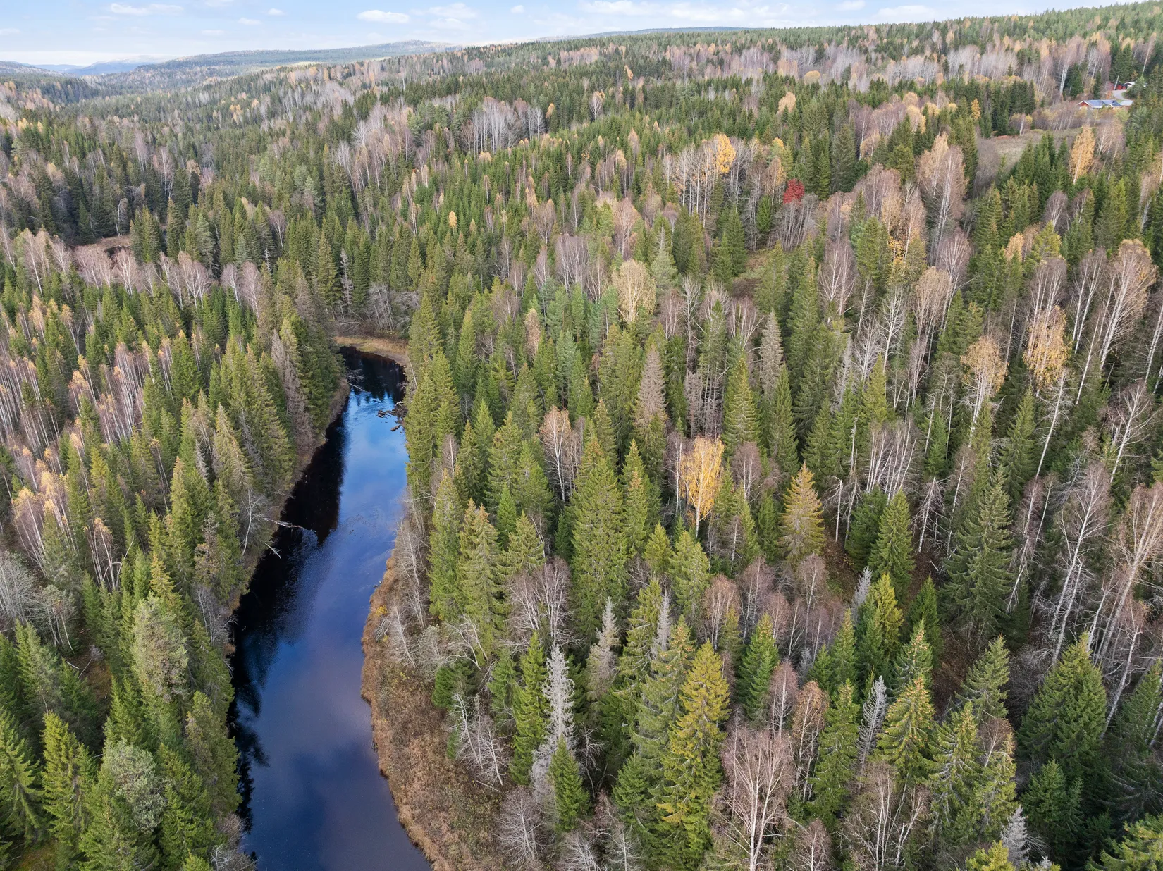 Gård/Skog, Mjällå 522, Ljustorp, Timrå