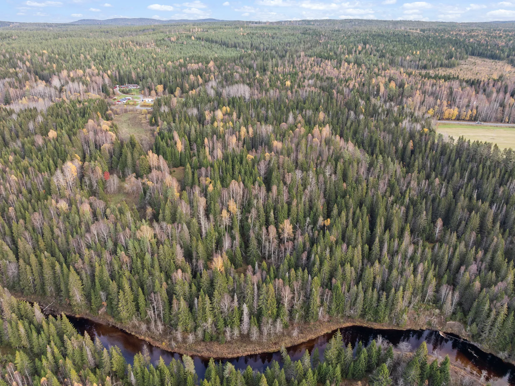 Gård/Skog, Mjällå 522, Ljustorp, Timrå