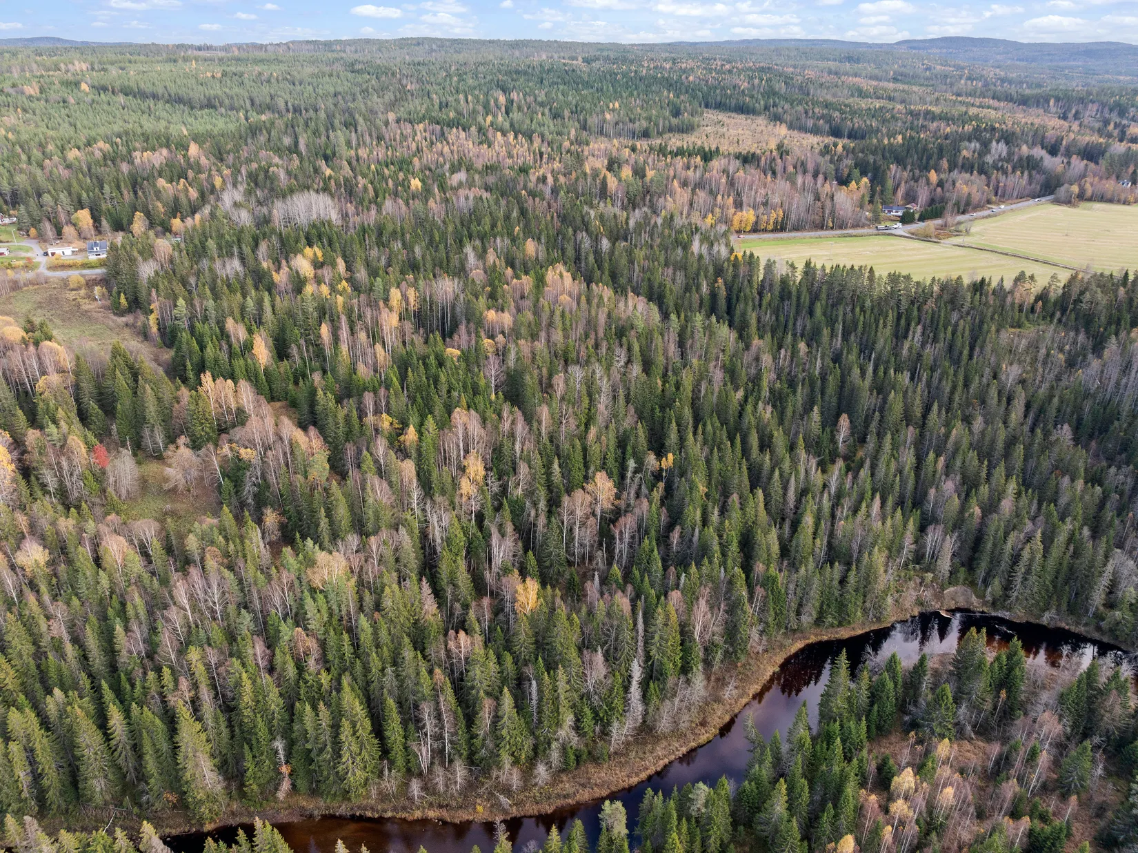 Gård/Skog, Mjällå 522, Ljustorp, Timrå