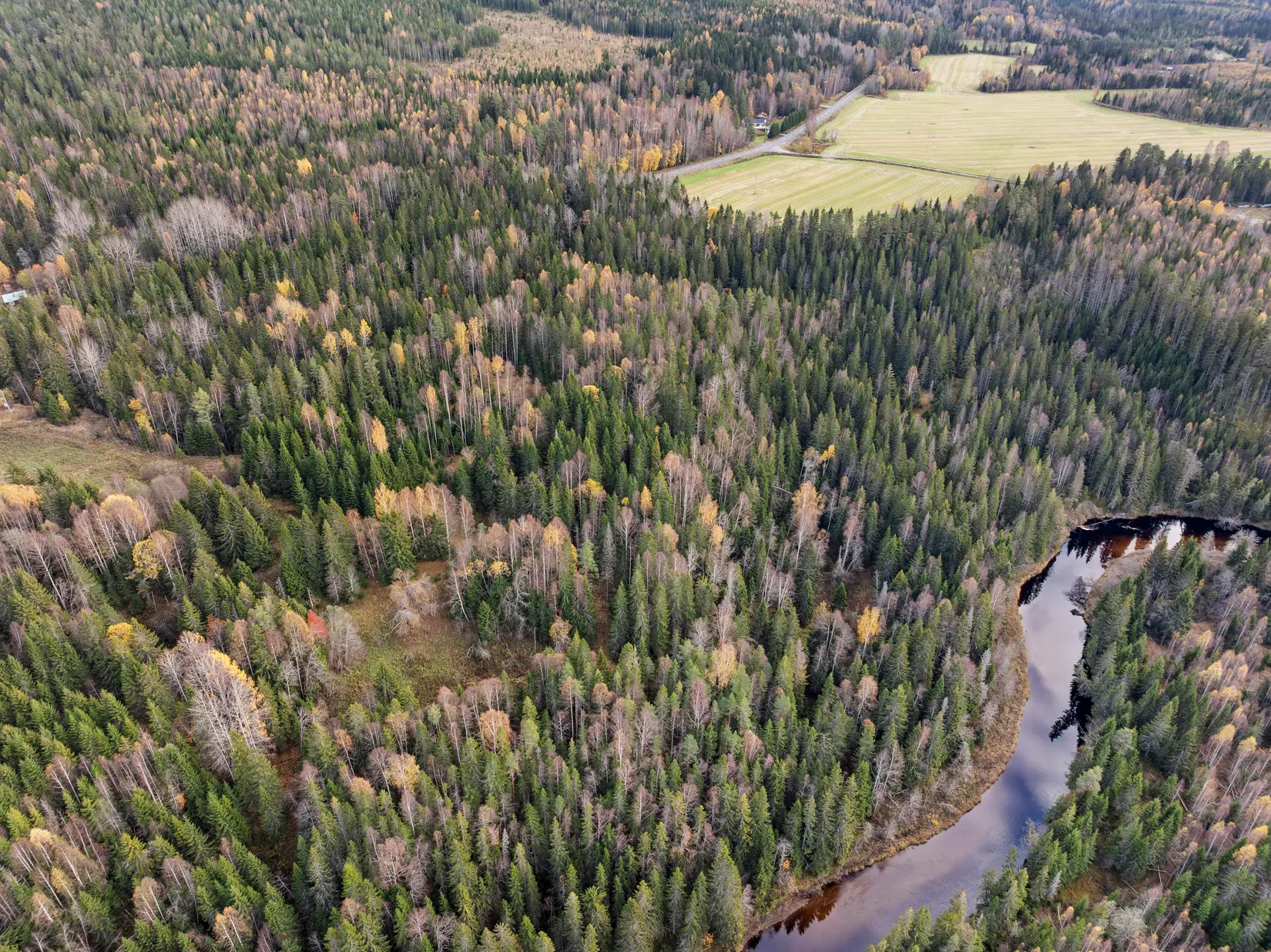 Gård/Skog, Mjällå 522, Ljustorp, Timrå