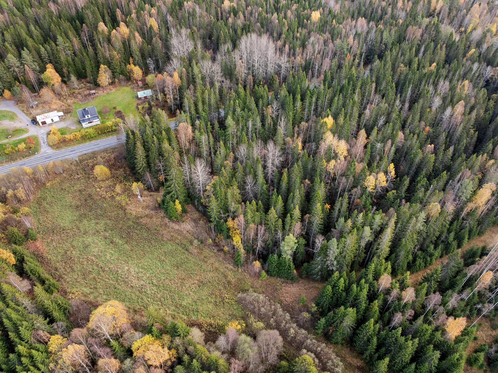 Gård/Skog, Mjällå 522, Ljustorp, Timrå