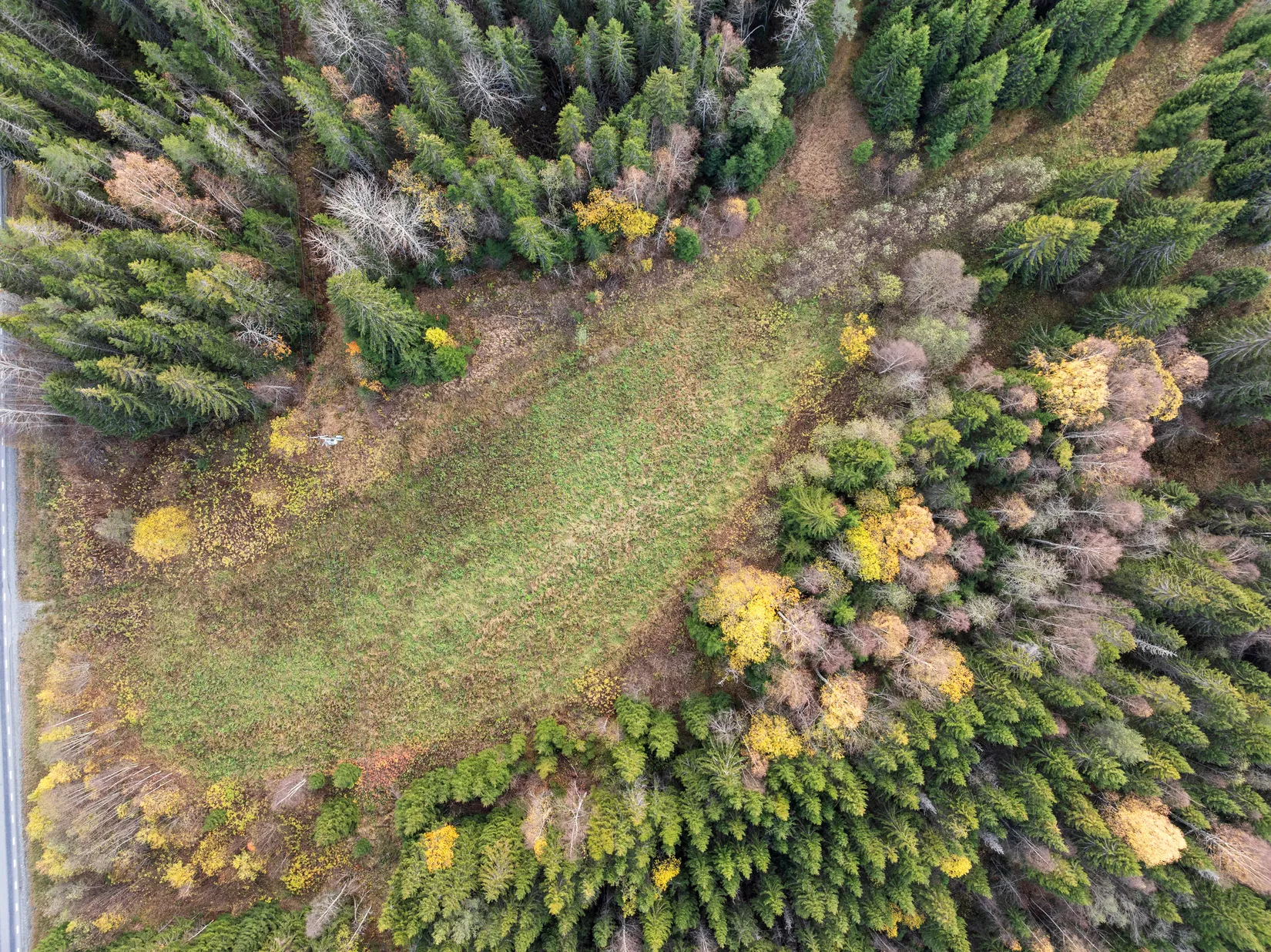 Gård/Skog, Mjällå 522, Ljustorp, Timrå
