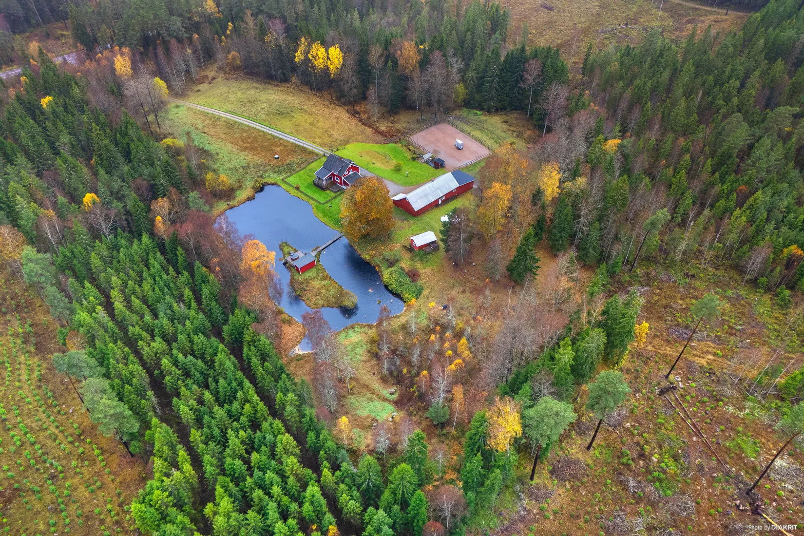 Gård/Skog, Tormundsås Björsmossen 1, Ärtingen, Borås