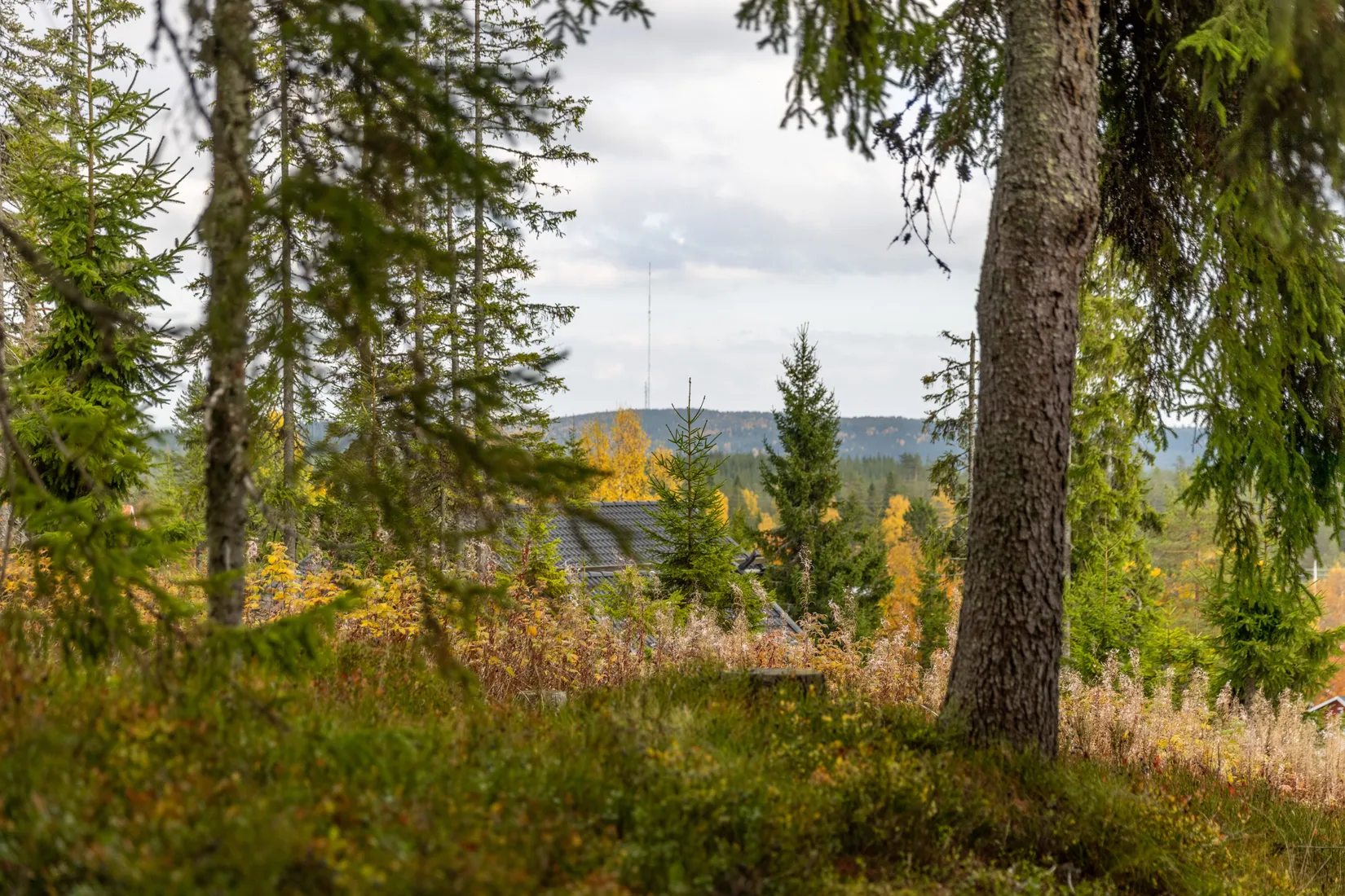 Fritidshus, Norra Garberg 52, Norra Garberg, Mora