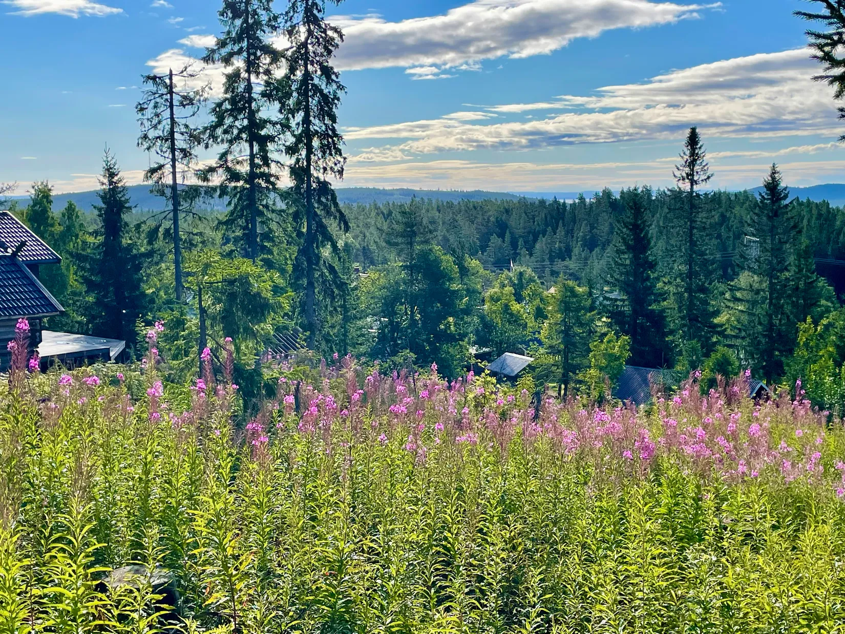 Fritidshus, Norra Garberg 52, Norra Garberg, Mora