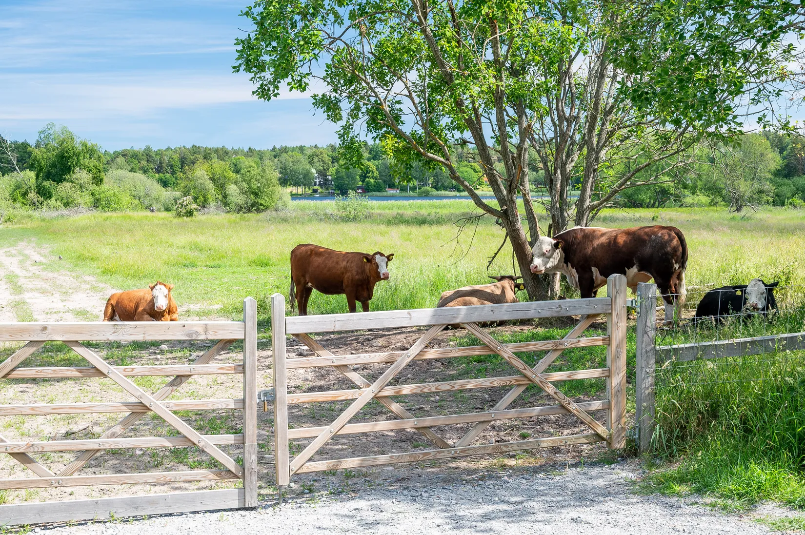 Radhus, Klavebacken 21C, Länna, Huddinge