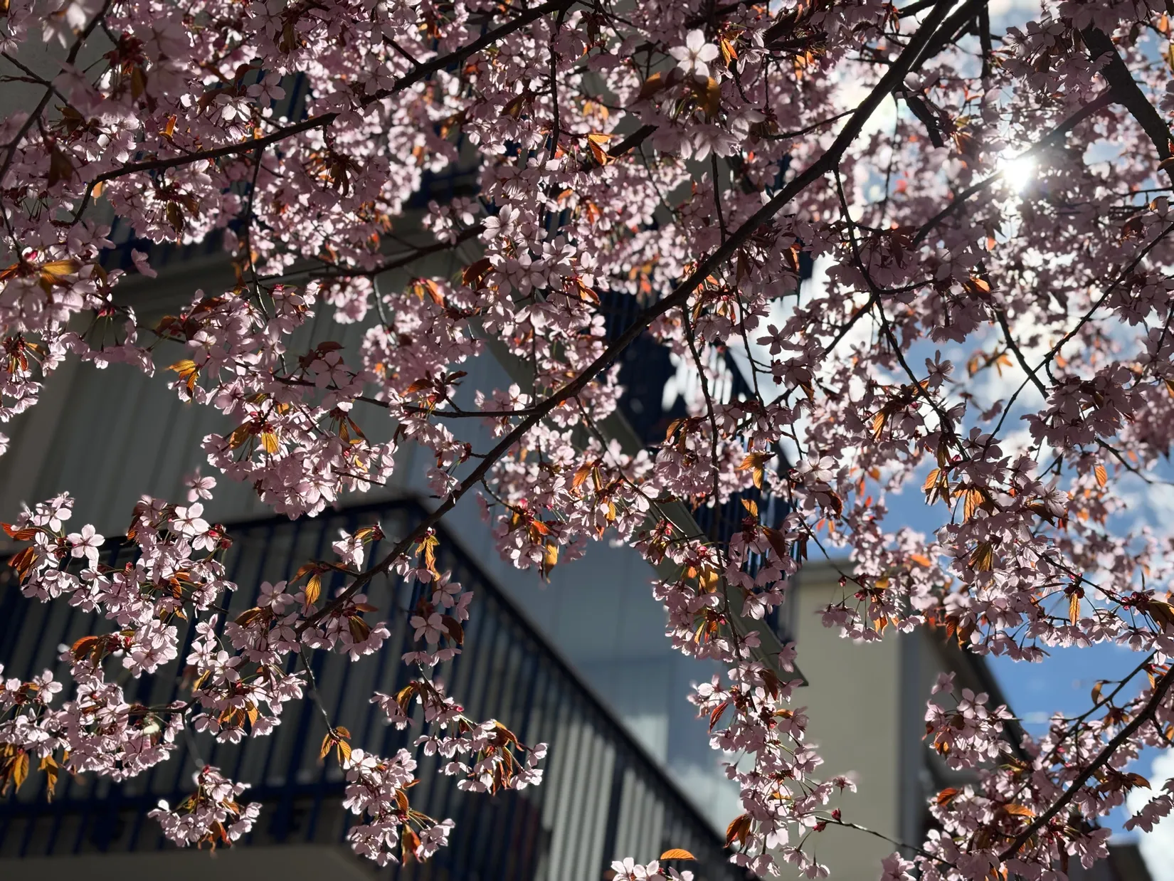 Bostadsrätt, Alva myrdals gata 6, Fruängen / Nya Fruängen, Stockholm