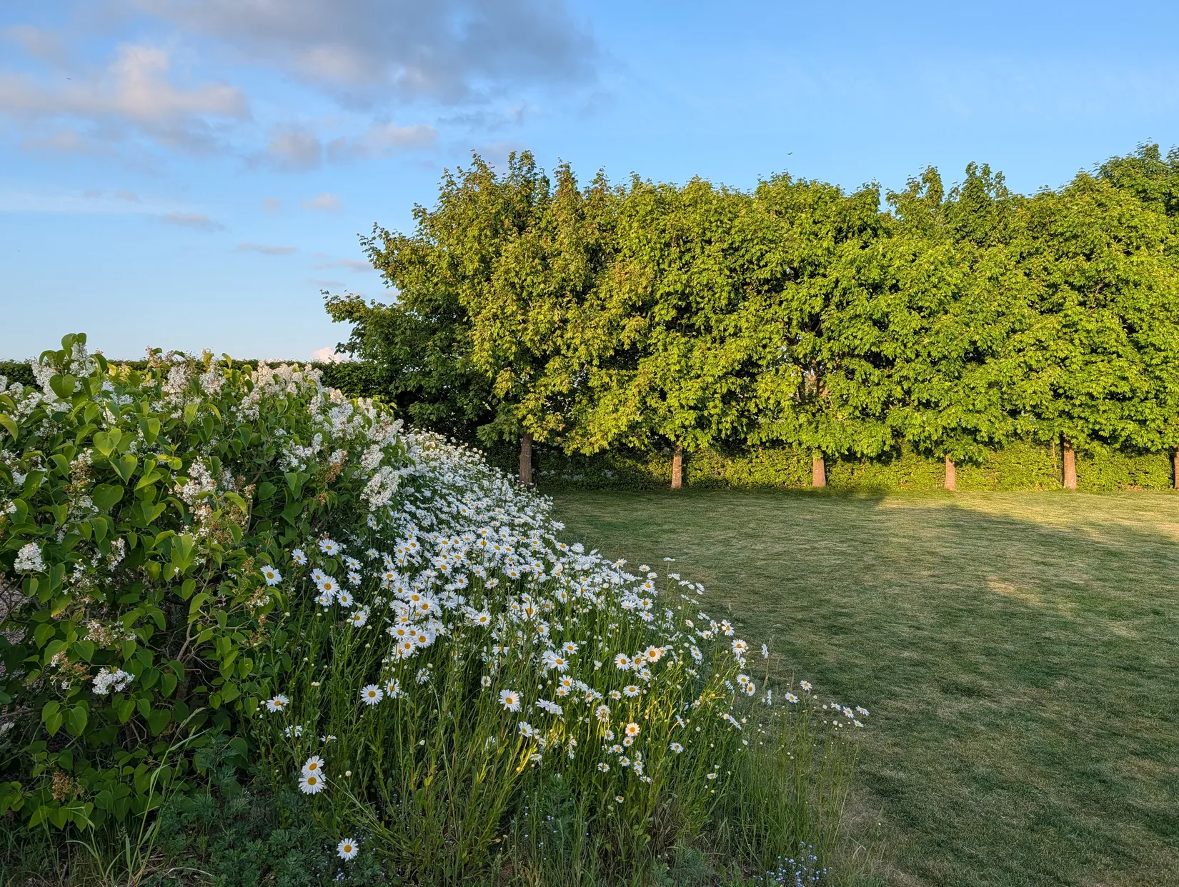 Villa, Askeröd 1120, Askeröd, Hörby