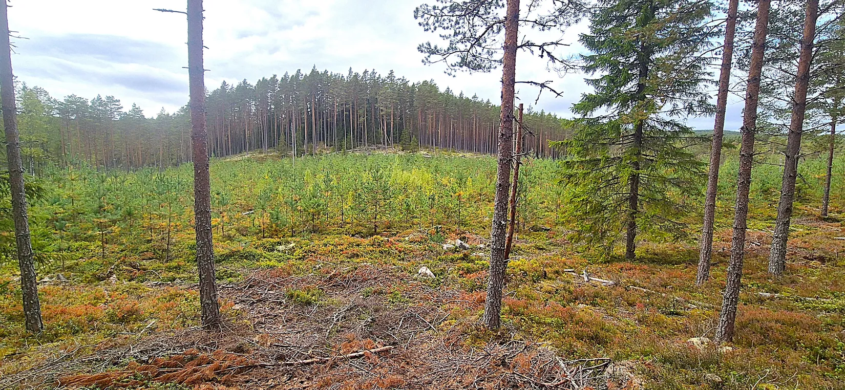 Fritidshus, Hara, Hara, Hagfors