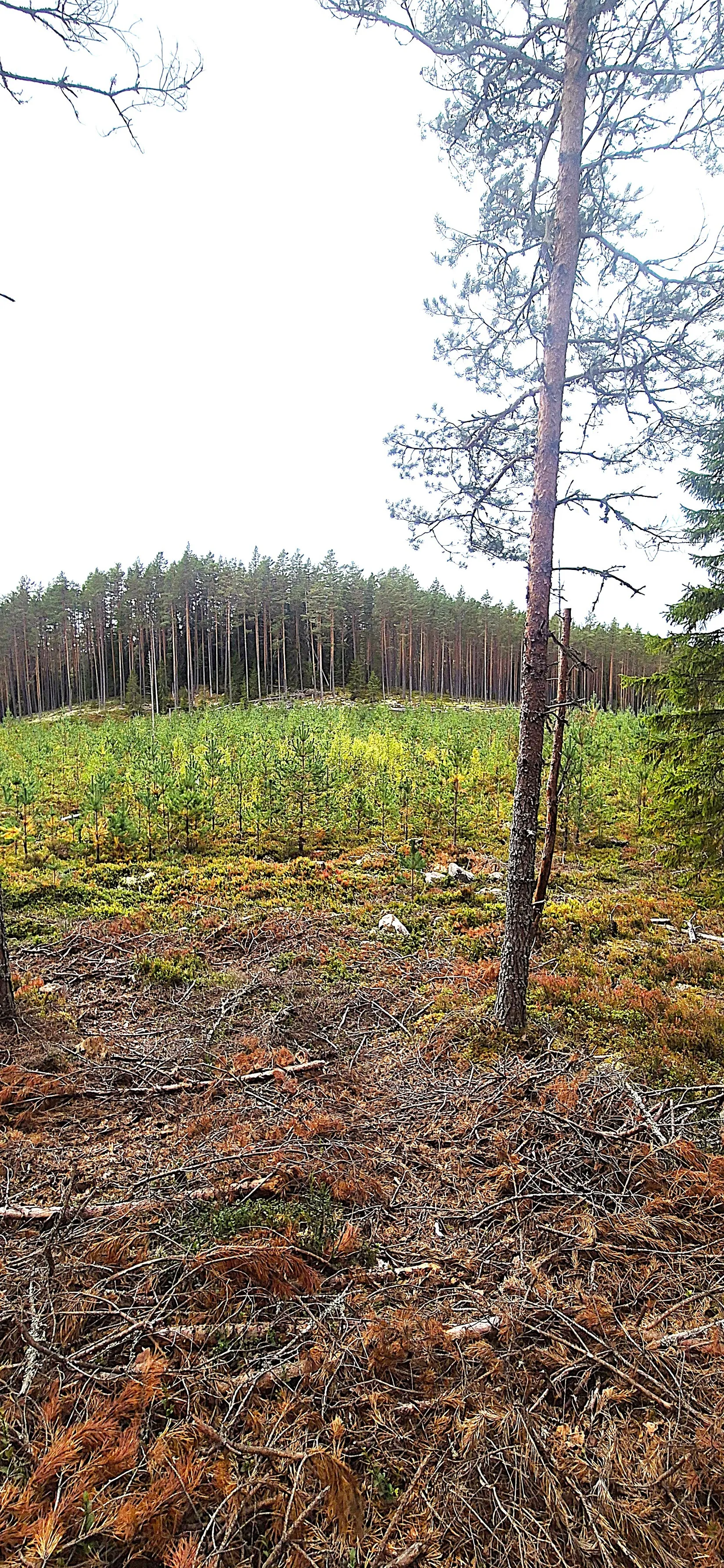 Fritidshus, Hara, Hara, Hagfors