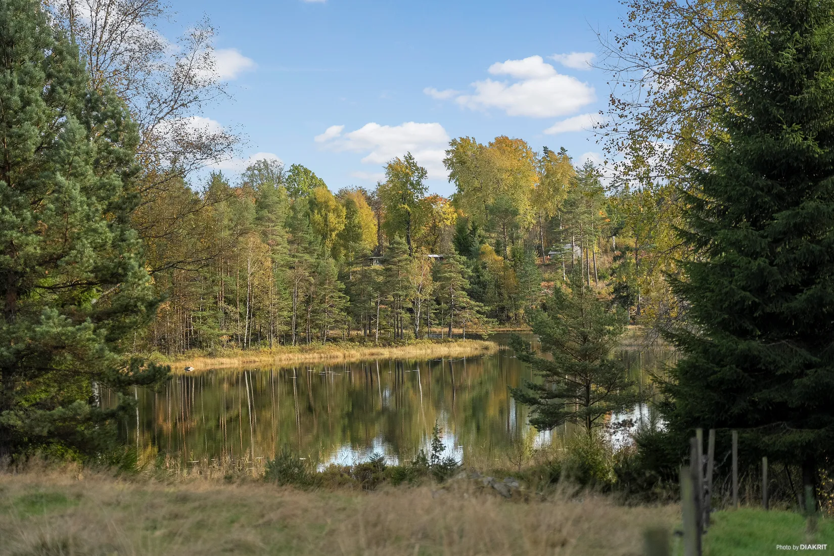 Gård/Skog, Granvattnet 135, Ale