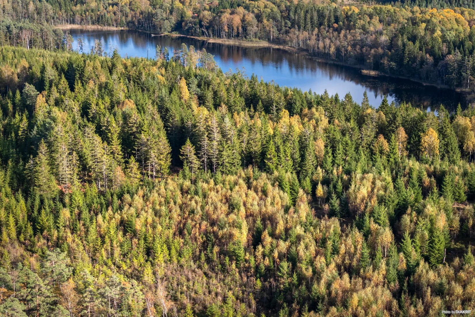 Gård/Skog, Granvattnet 135, Ale