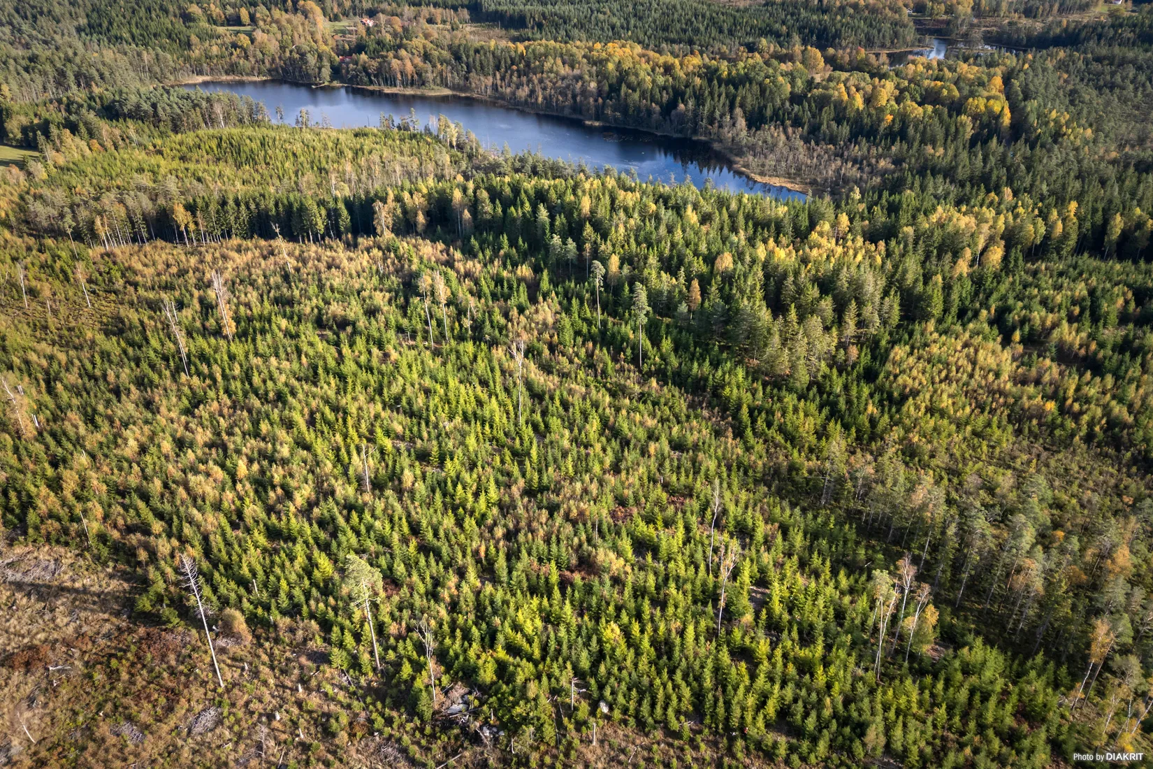 Gård/Skog, Granvattnet 135, Ale