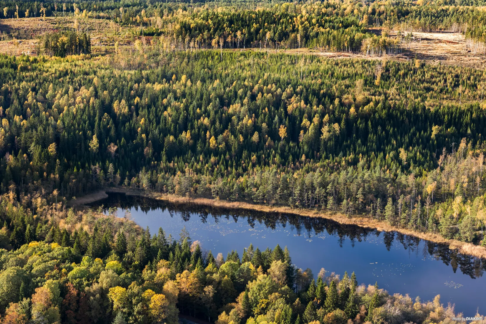 Gård/Skog, Granvattnet 135, Ale