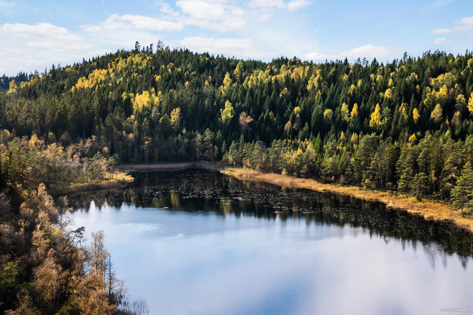 Gård/Skog, Granvattnet 135, Ale