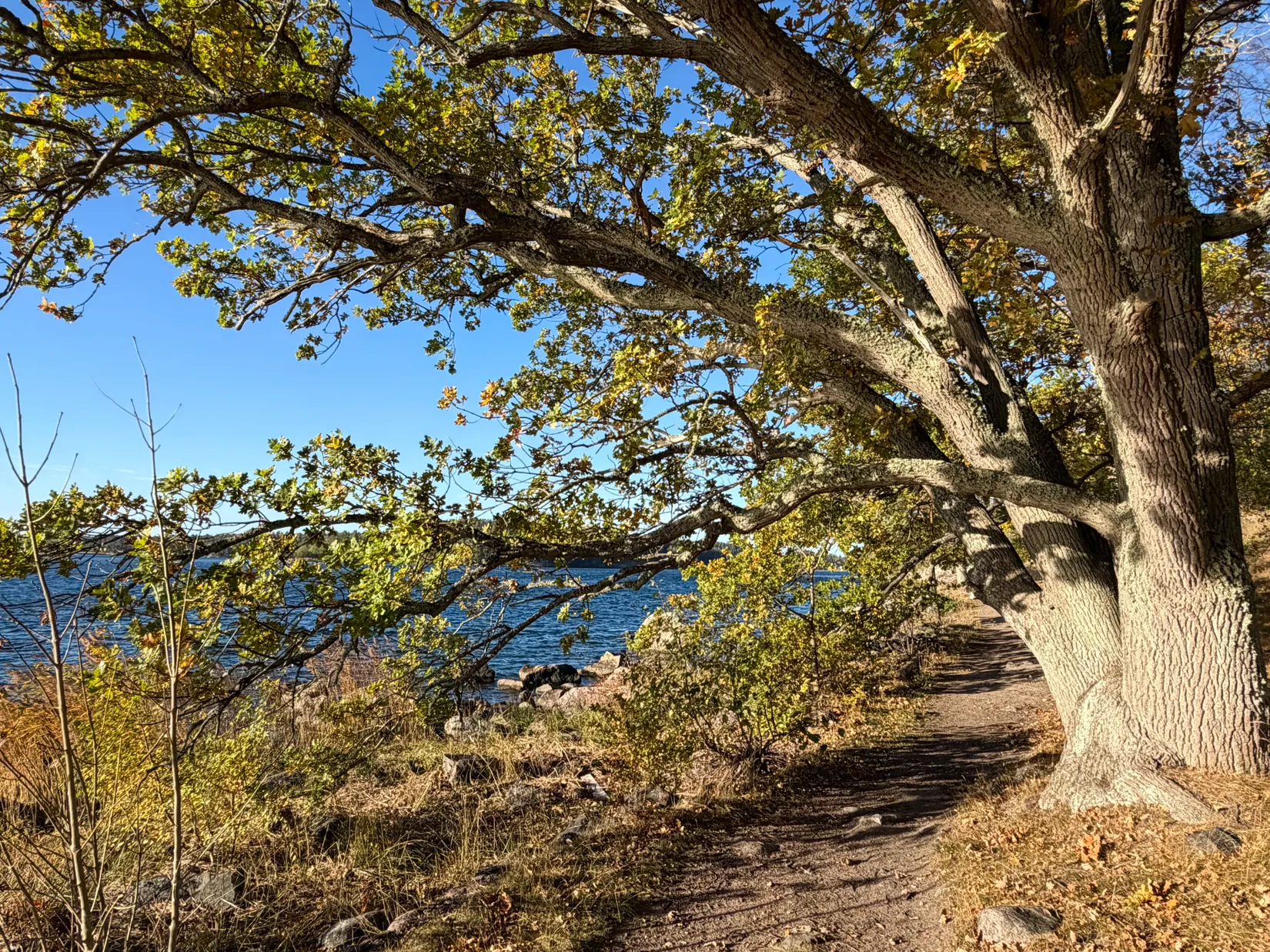Bostadsrätt, Västra Kasernvägen 1, Rindö, Vaxholm
