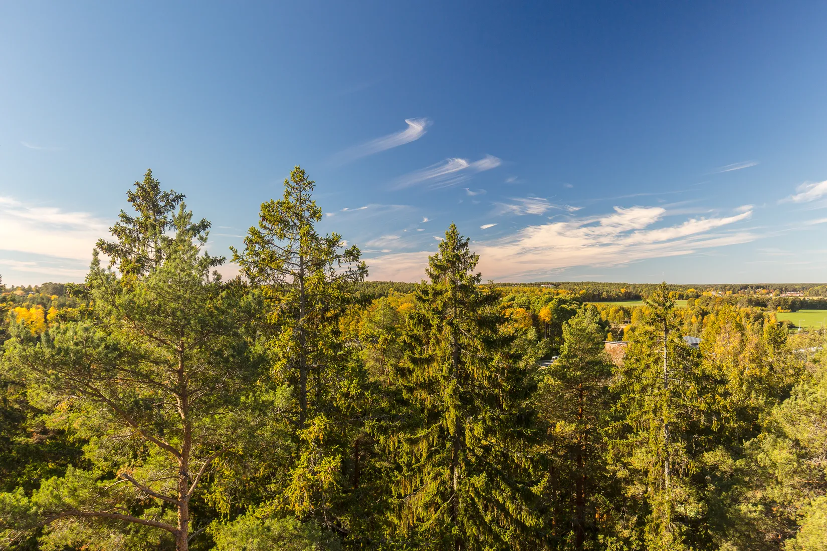 Bostadsrätt, Solbrinken 11, Sigtuna