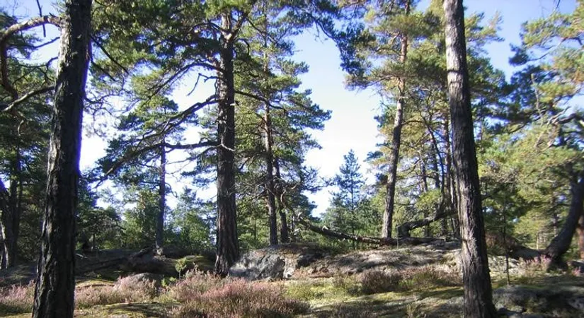 Bostadsrätt, Sagoslingan 3 B, Huddinge