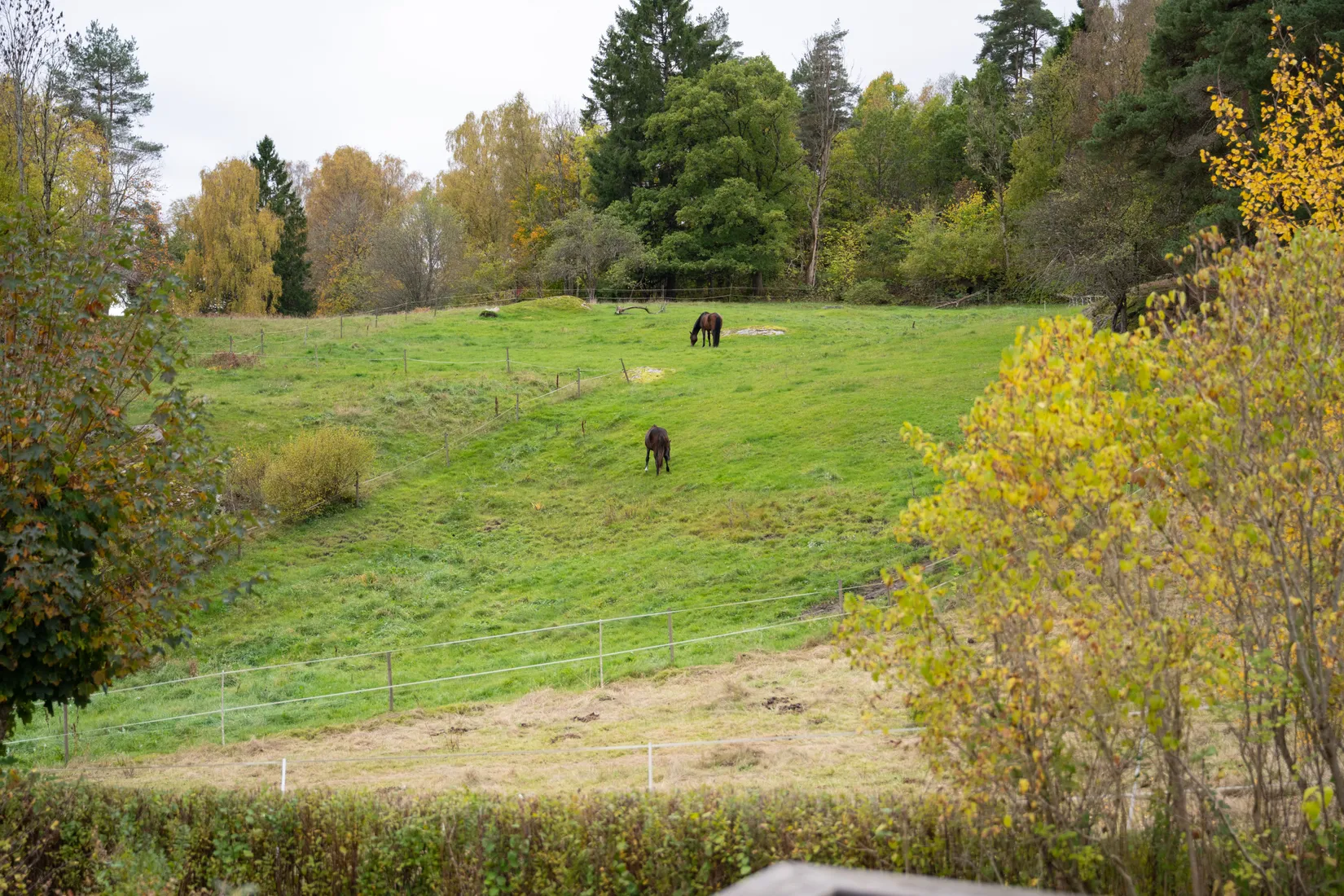 Gård/Skog, Kajbergsvägen 18, Skene, Mark