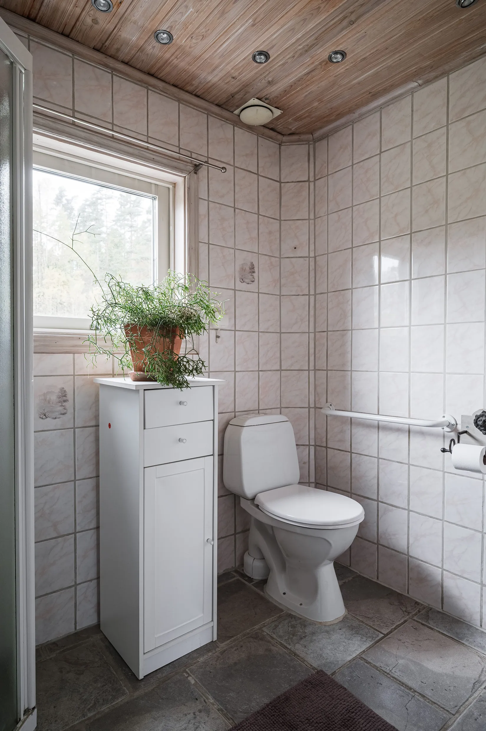 Gård/Skog, Kajbergsvägen 18, Skene, Mark