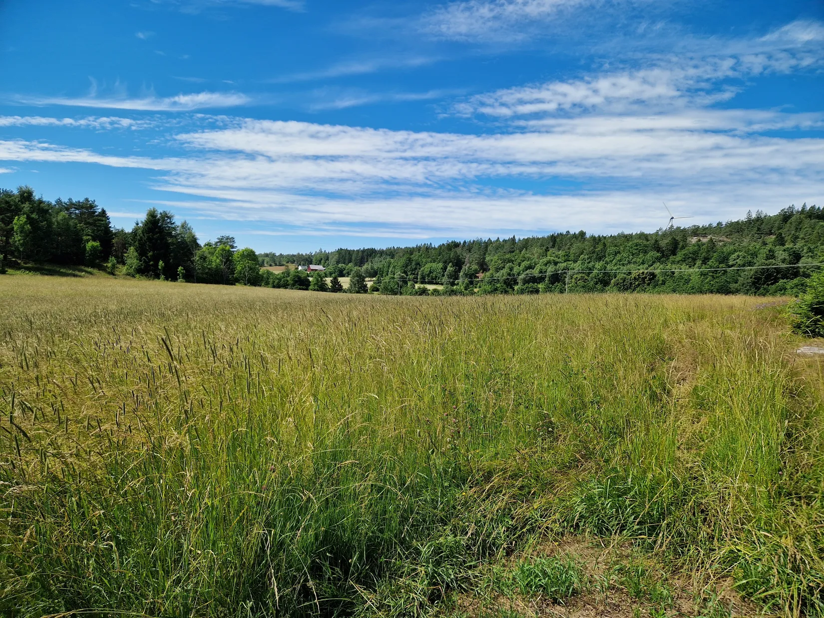 Gård/Skog, Herrestads Svenseröd 127, Uddevalla