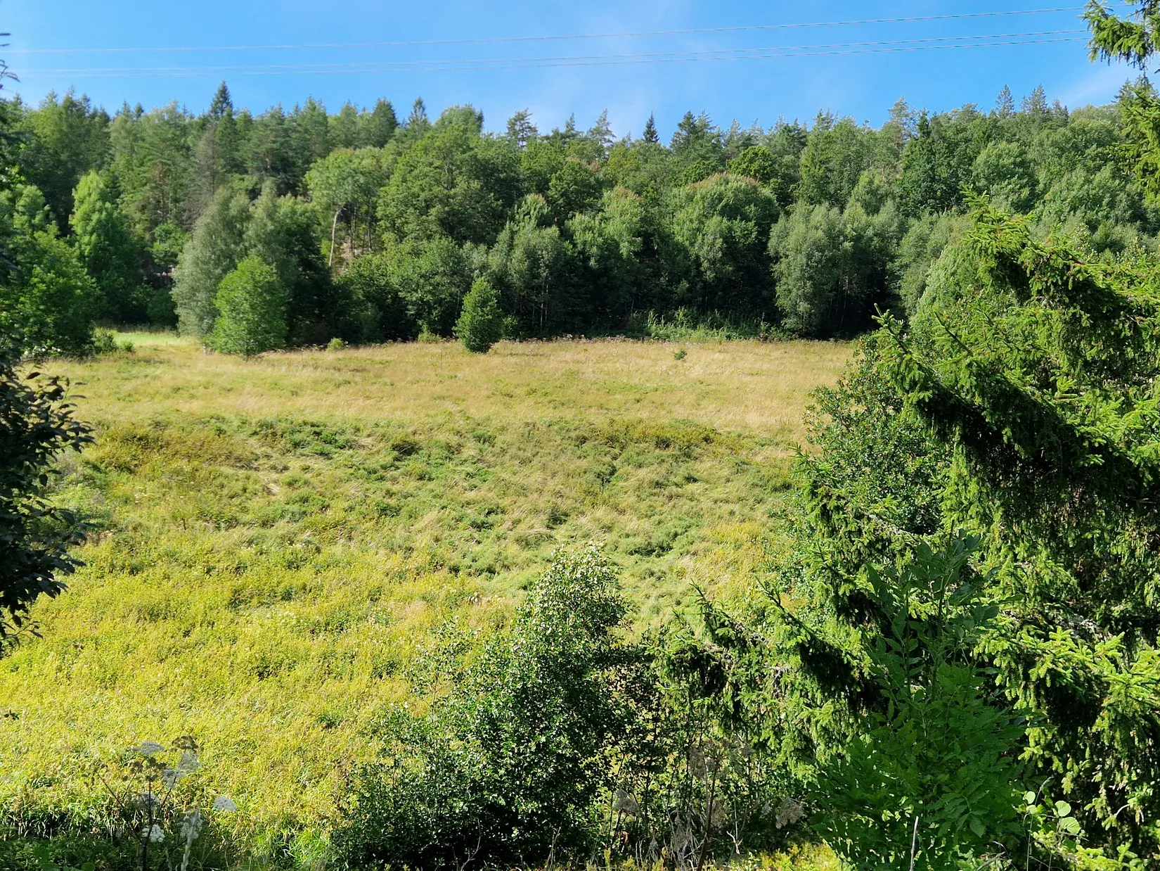 Gård/Skog, Herrestads Svenseröd 127, Uddevalla