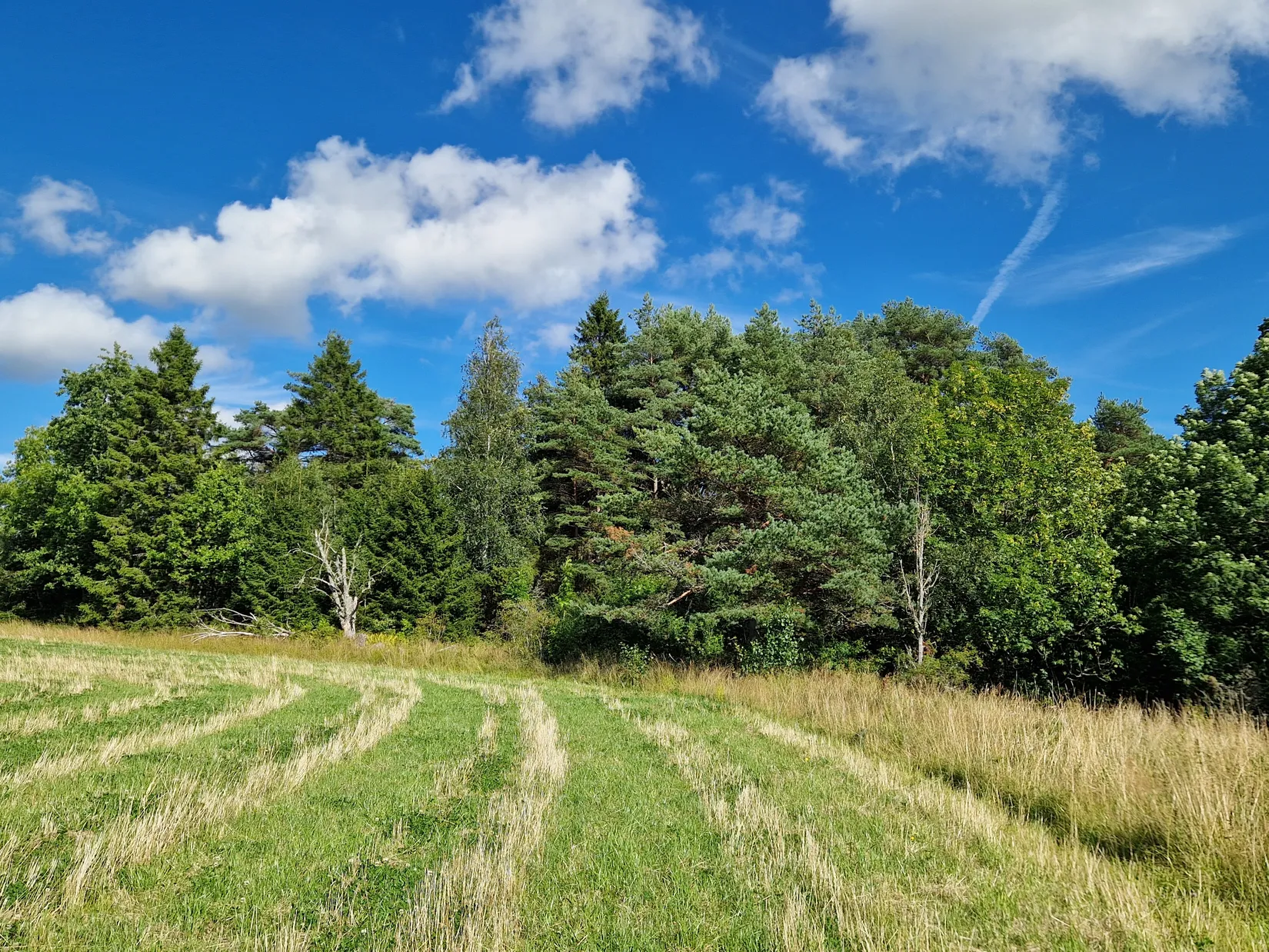 Gård/Skog, Herrestads Svenseröd 127, Uddevalla