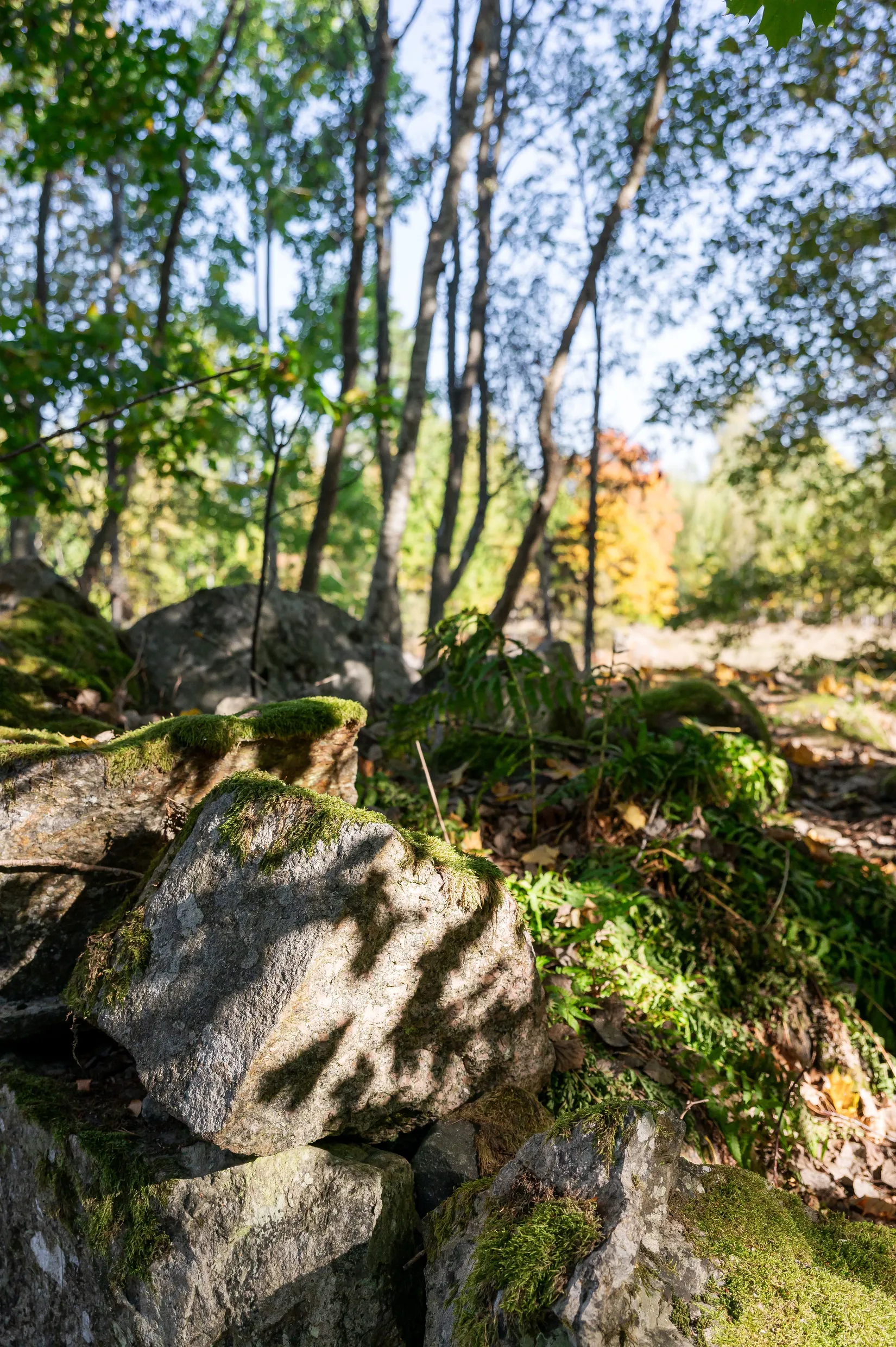 Fritidshus, Toltorp Kerstinbo, Toltorp, Katrineholm