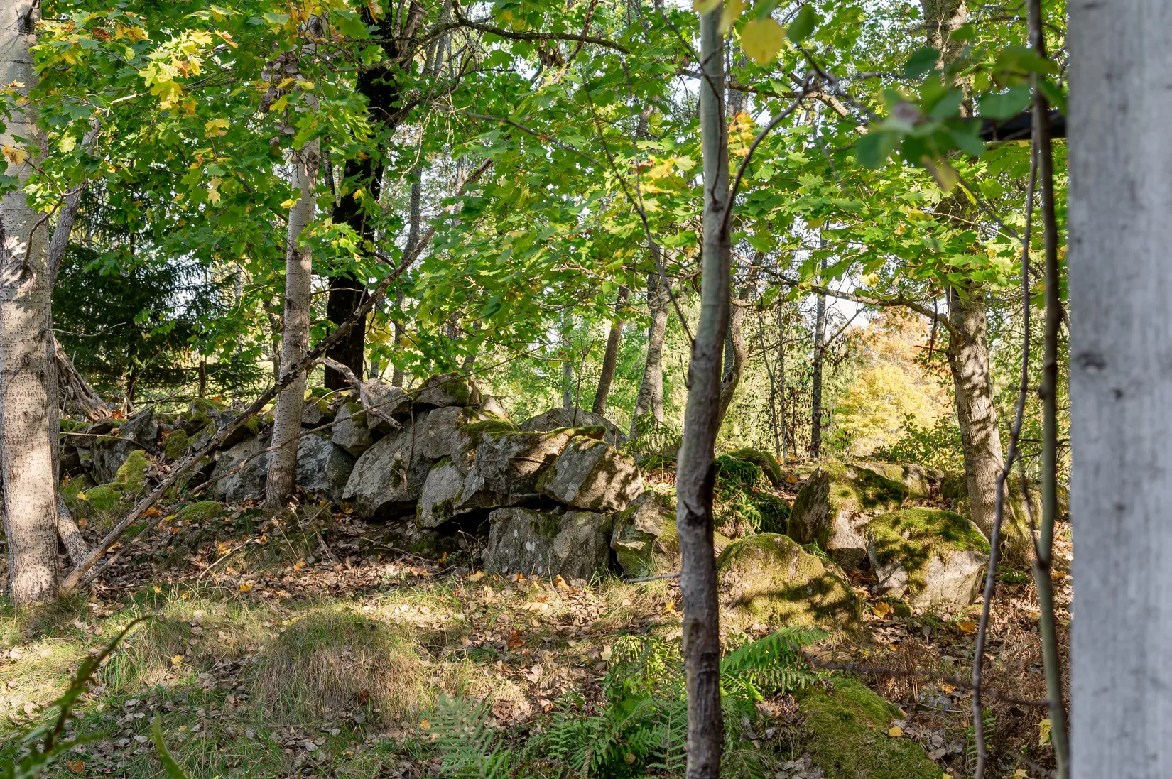 Fritidshus, Toltorp Kerstinbo, Toltorp, Katrineholm