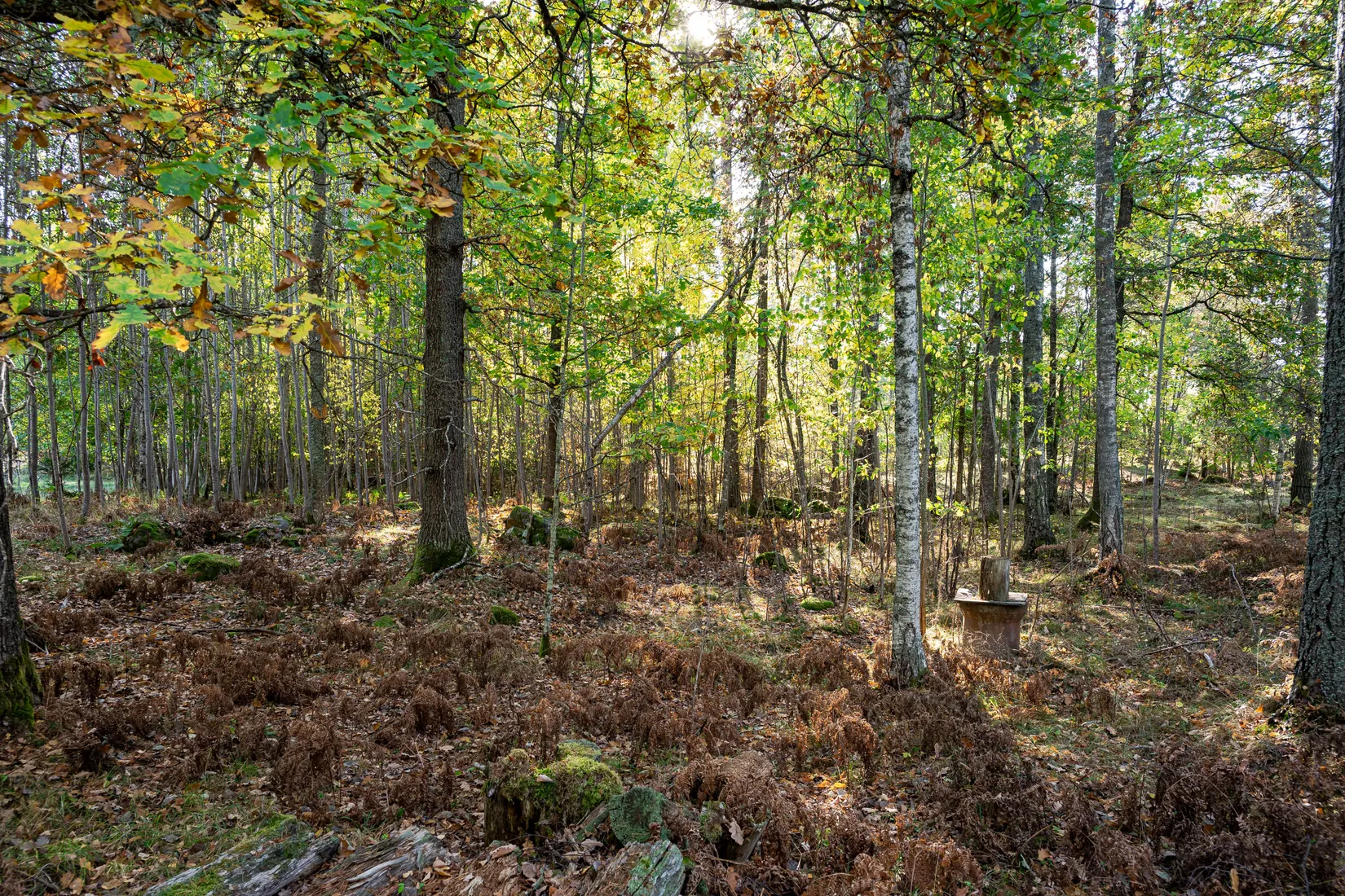 Fritidshus, Toltorp Kerstinbo, Toltorp, Katrineholm
