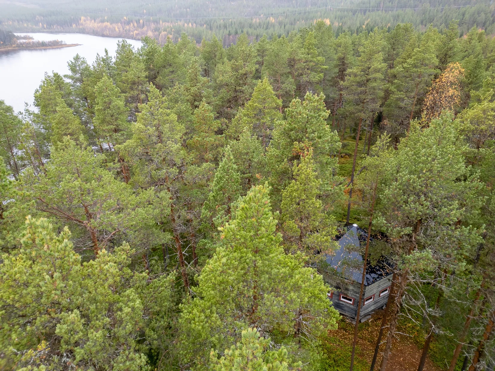 Gård/Skog, Stenkulla 6, Åsele