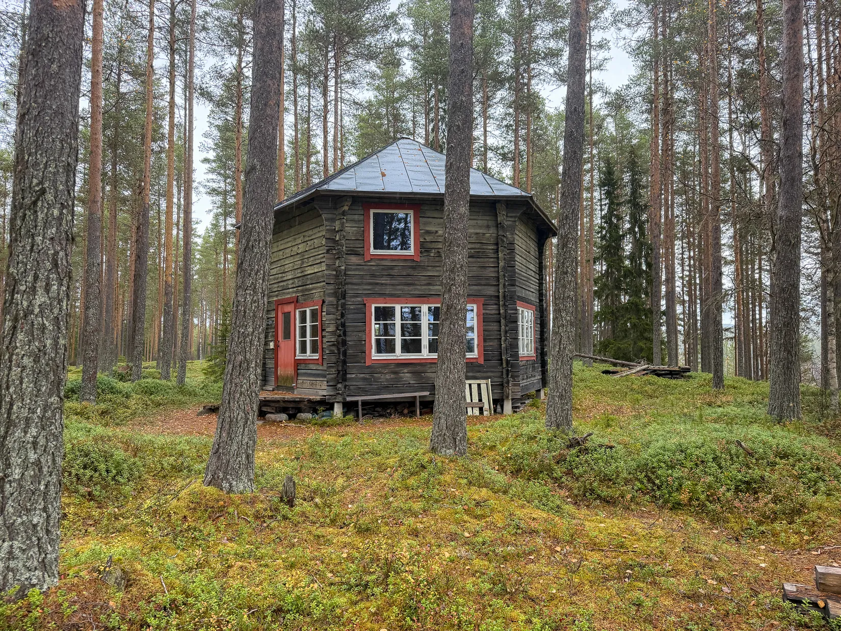 Gård/Skog, Stenkulla 6, Åsele
