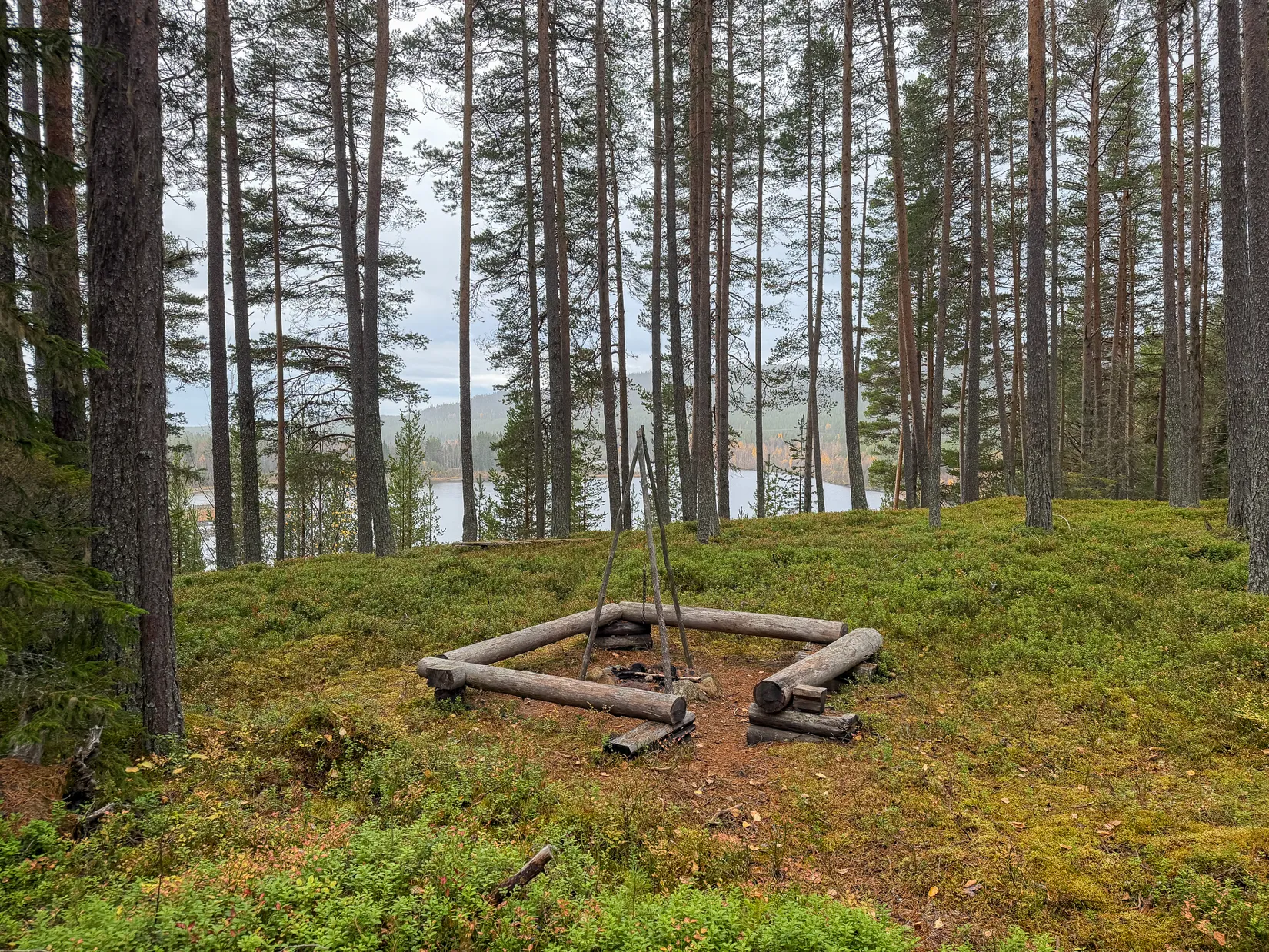 Gård/Skog, Stenkulla 6, Åsele