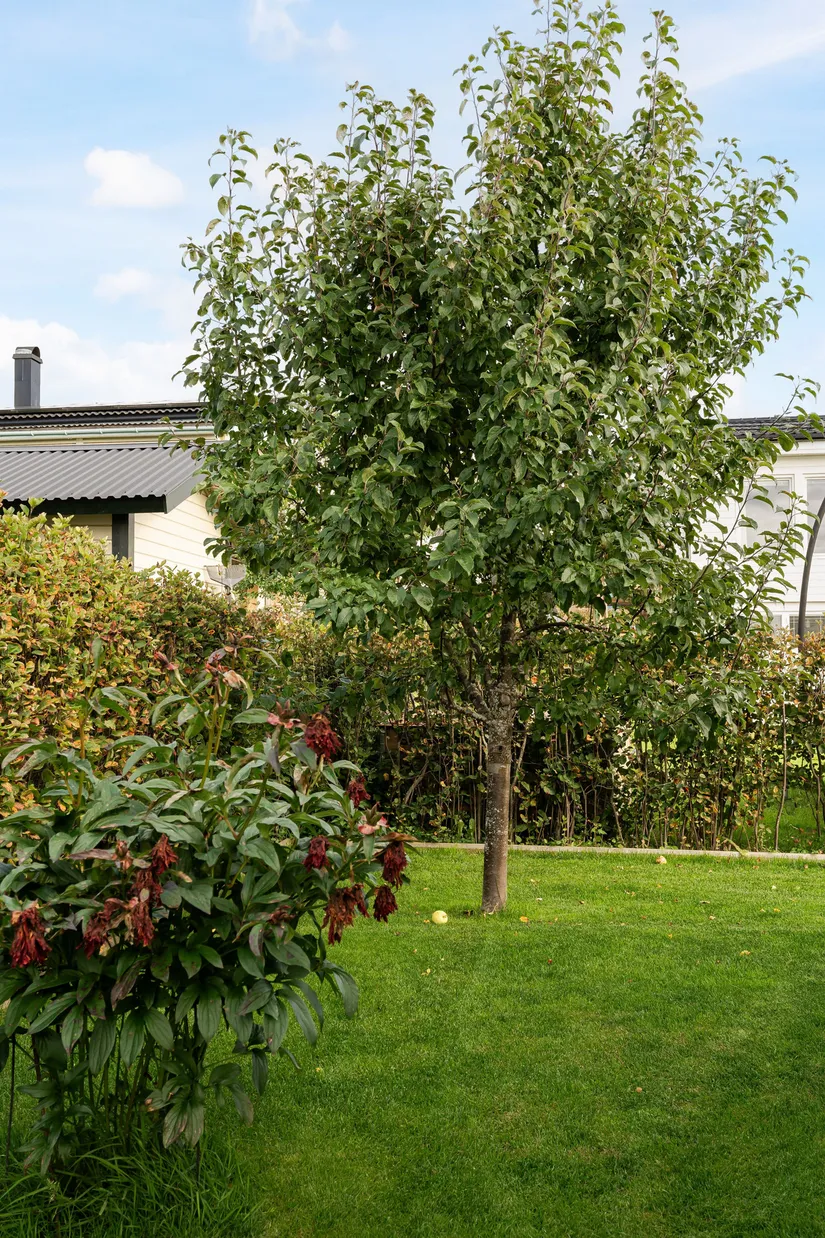 Villa, Pärlhakevägen 7, Odensala, Östersund