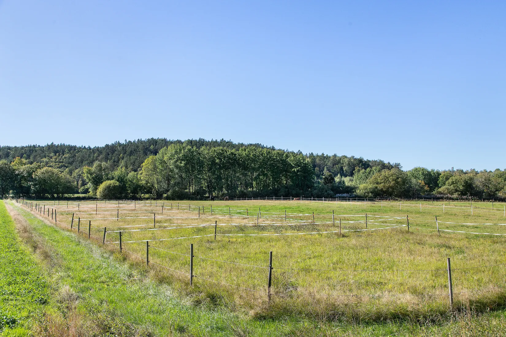 Gård/Skog, Veddigevägen 259, Kungsbacka